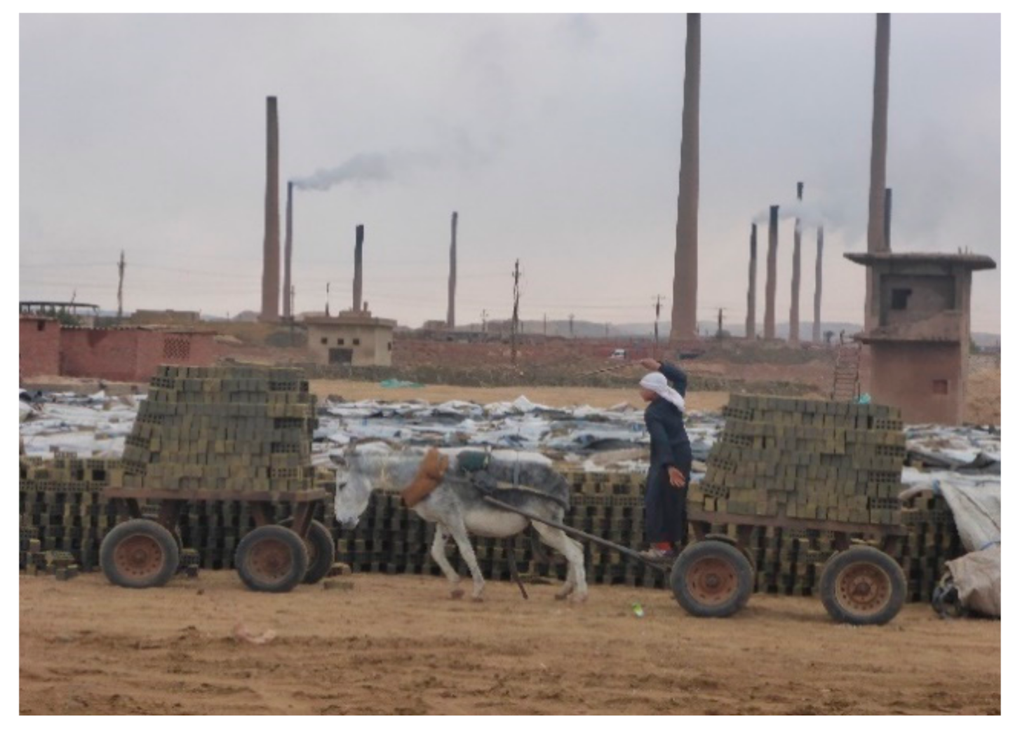 Animals 10 01611 g005 Animals 10 01611 g005