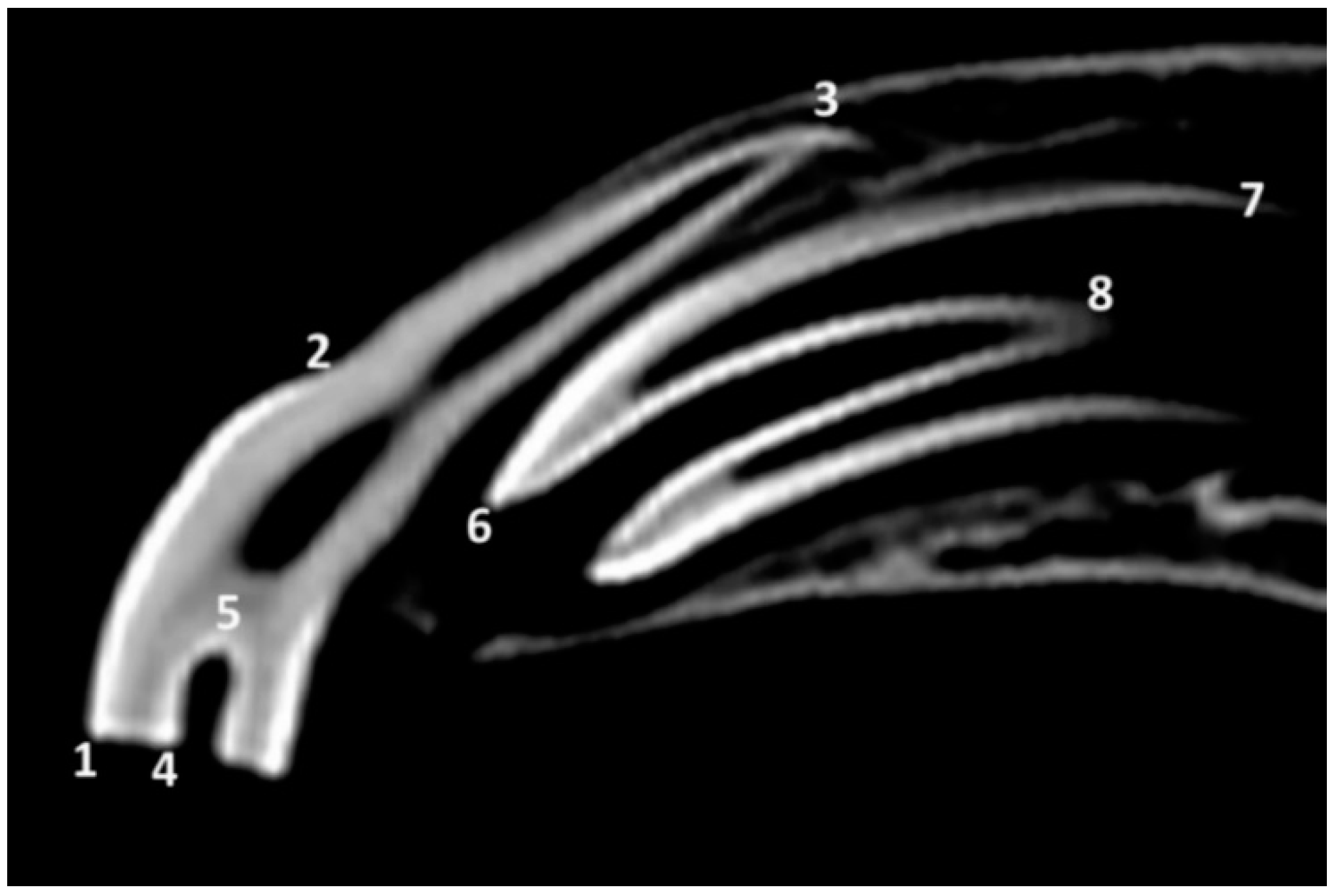 Animals 10 01618 g001