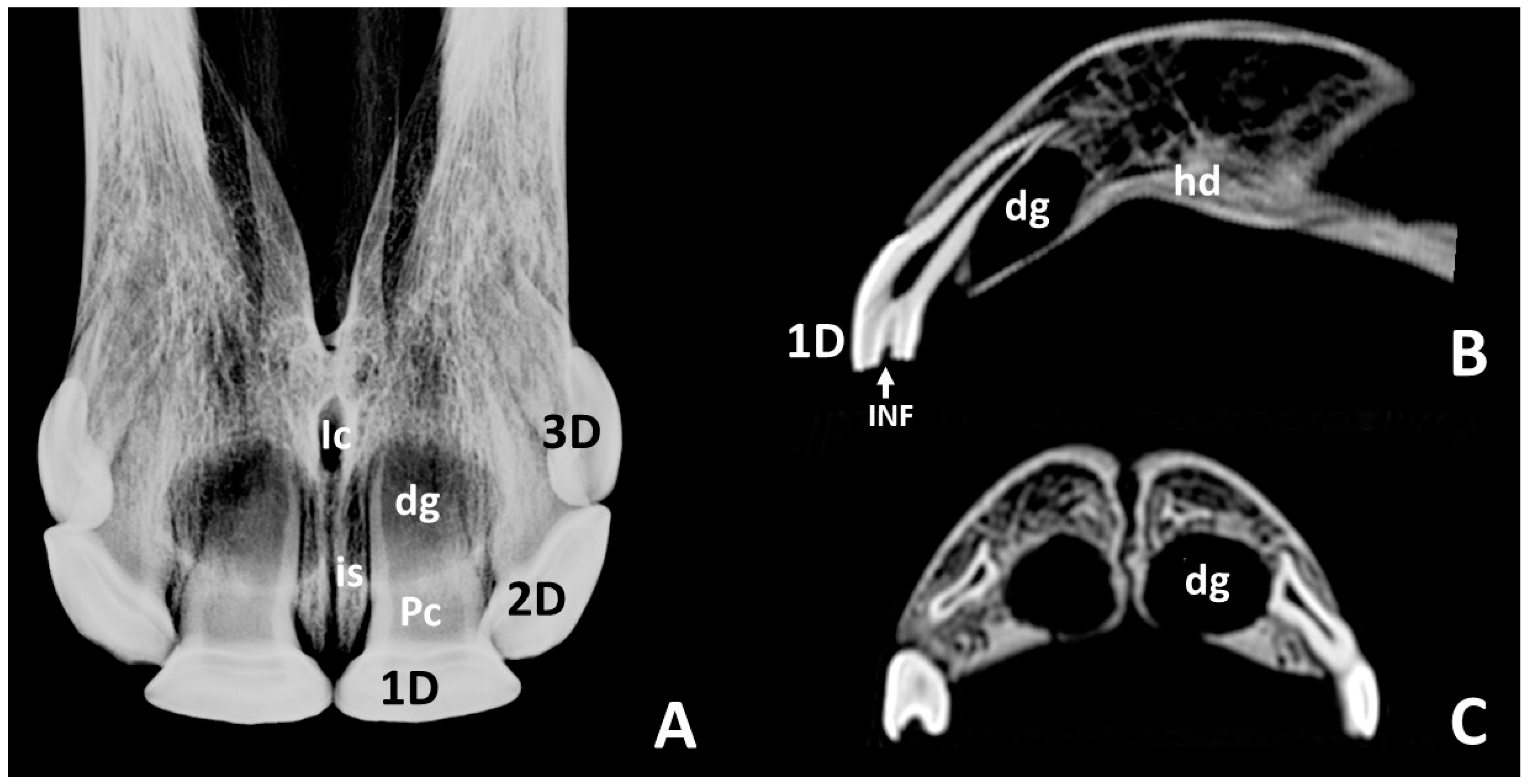 Animals 10 01618 g003