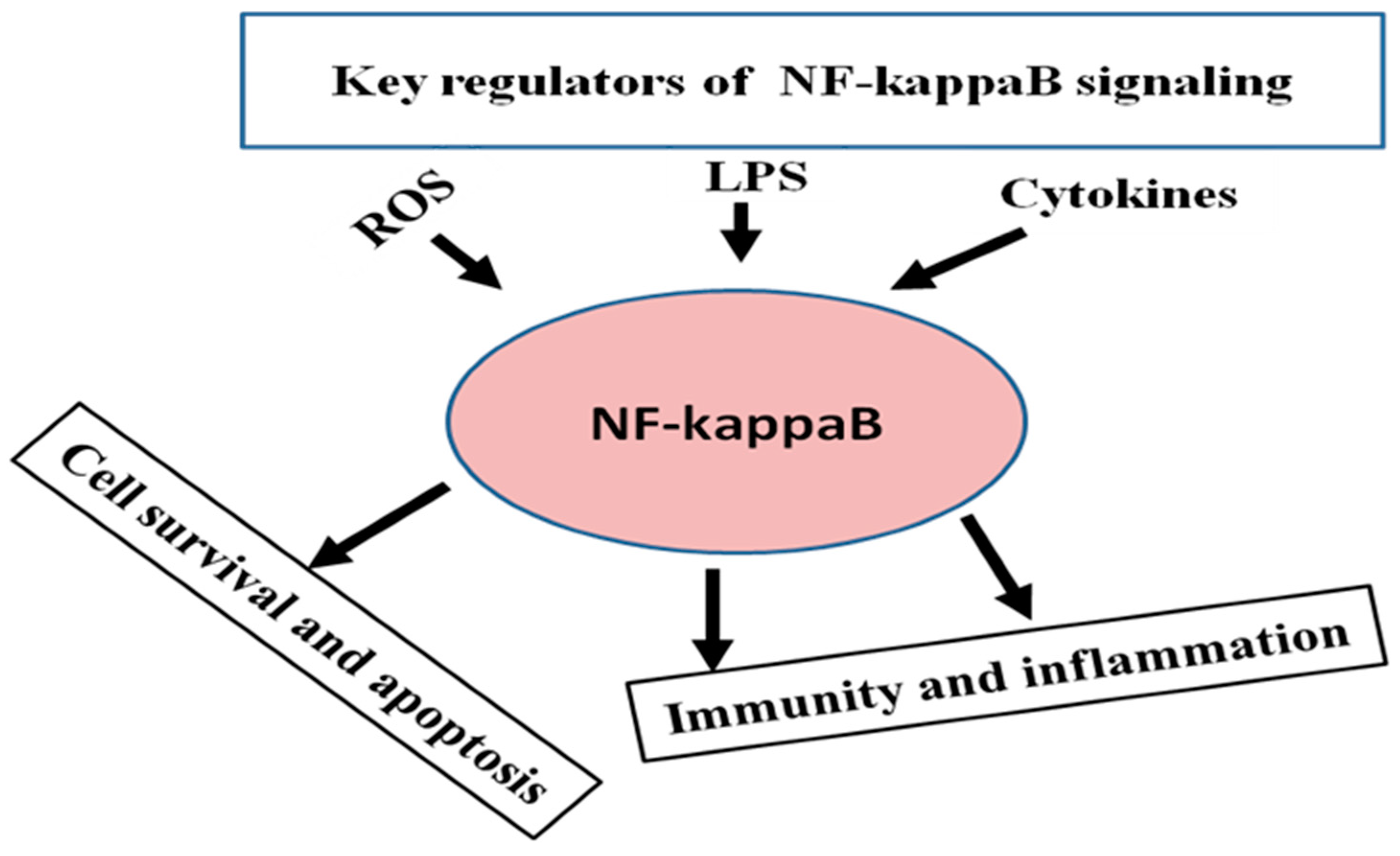 Animals 10 01625 g001 Animals 10 01625 g001