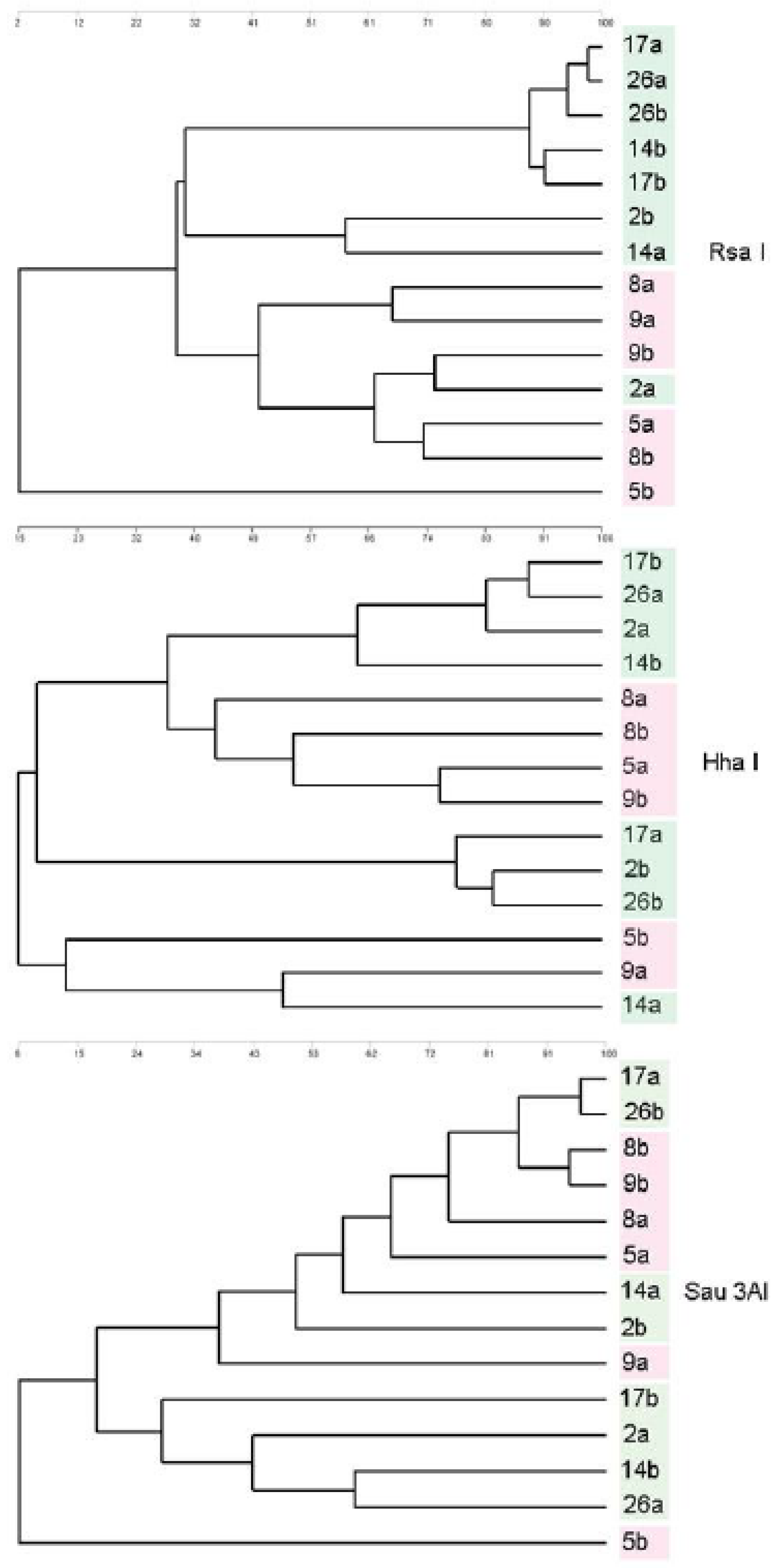 Animals 10 01656 g001 Animals 10 01656 g001