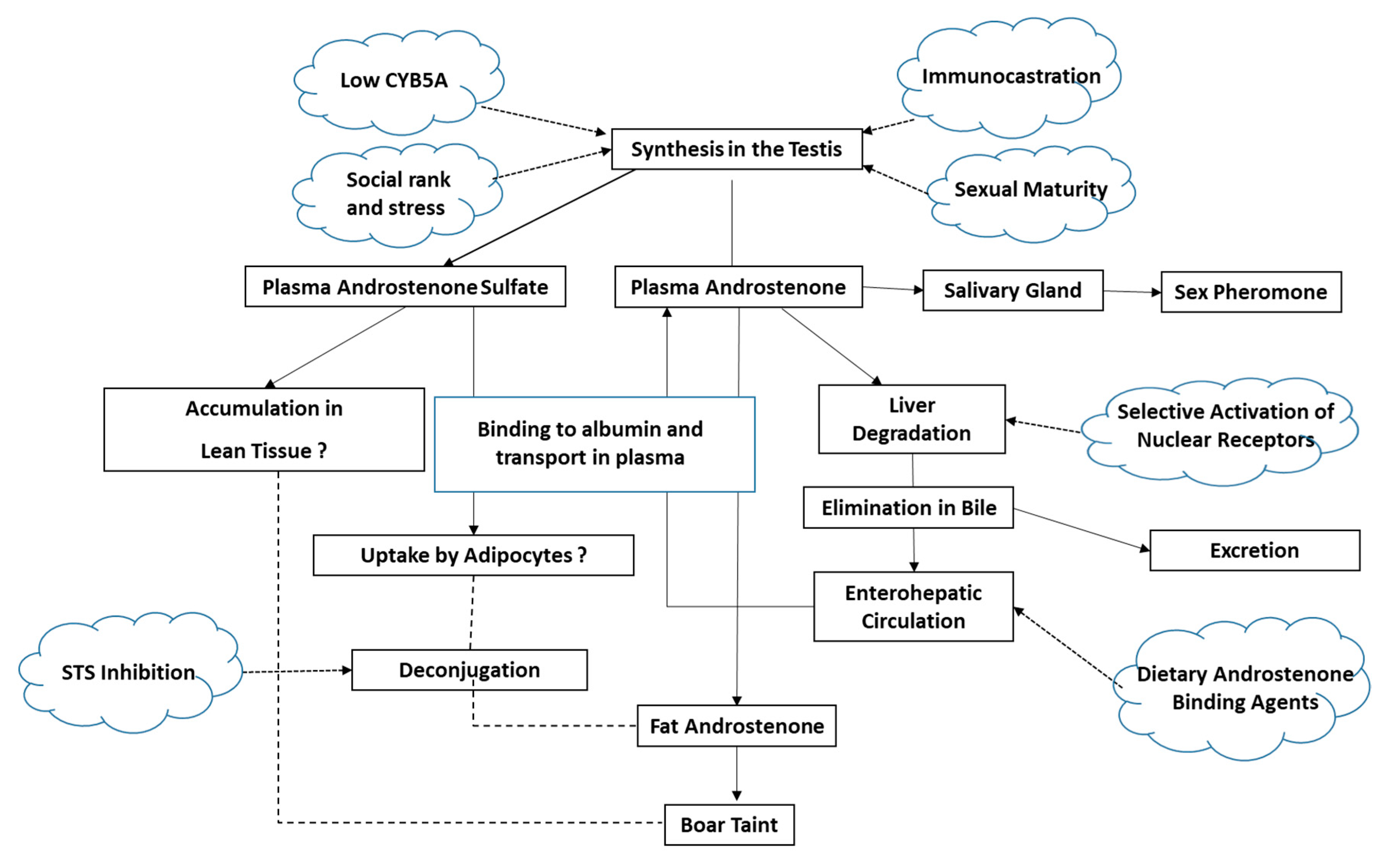 Animals 10 01665 g001 Animals 10 01665 g001