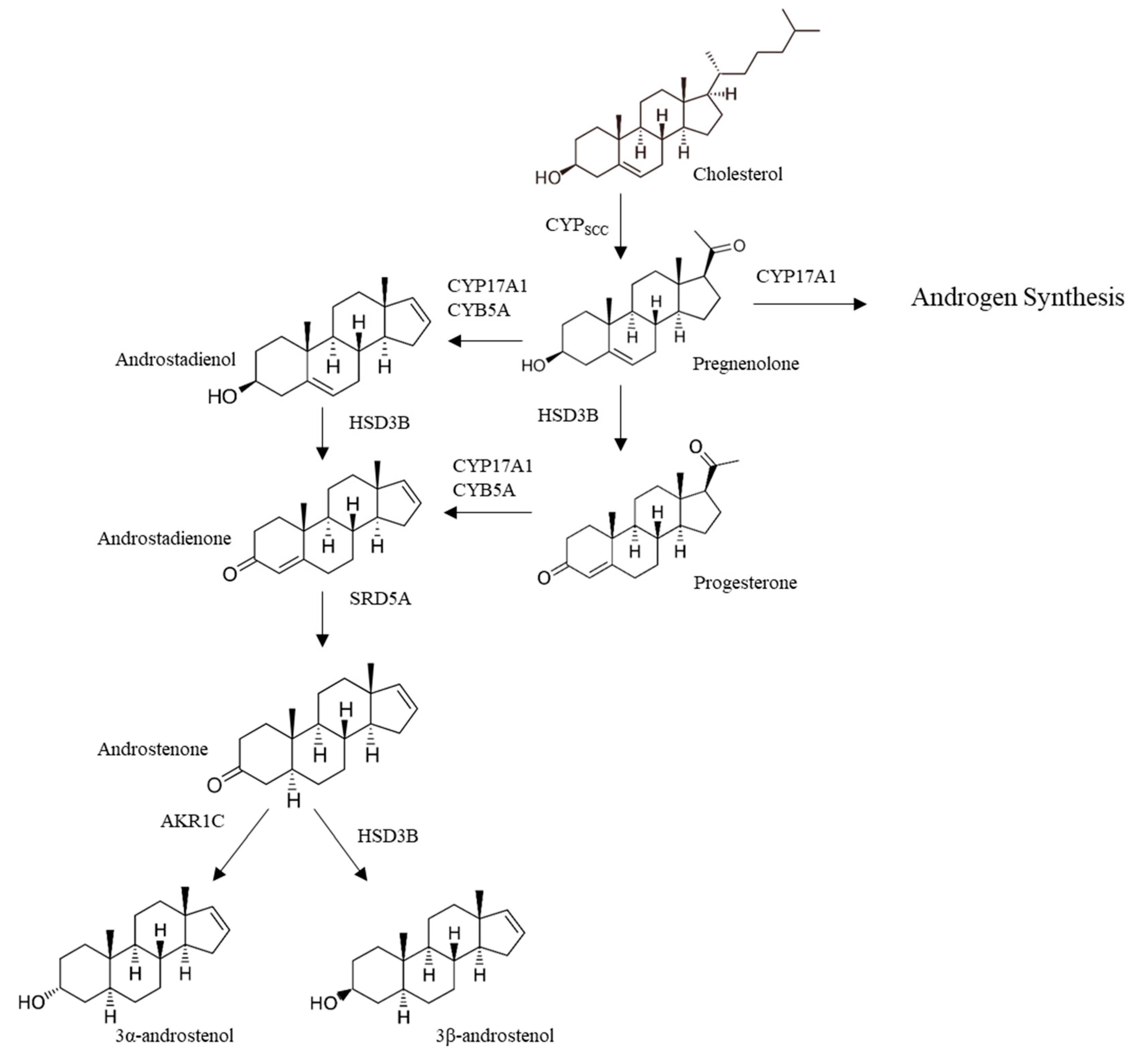 Animals 10 01665 g002 Animals 10 01665 g002