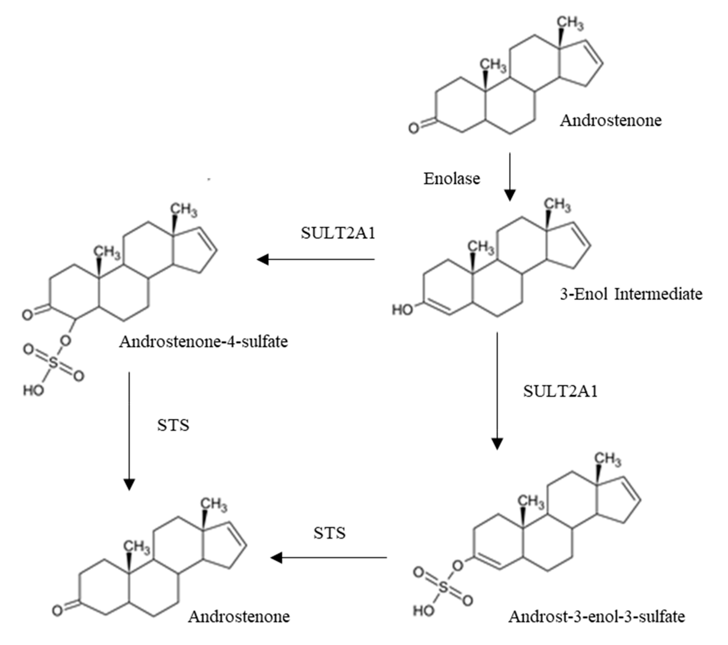Animals 10 01665 g003 Animals 10 01665 g003