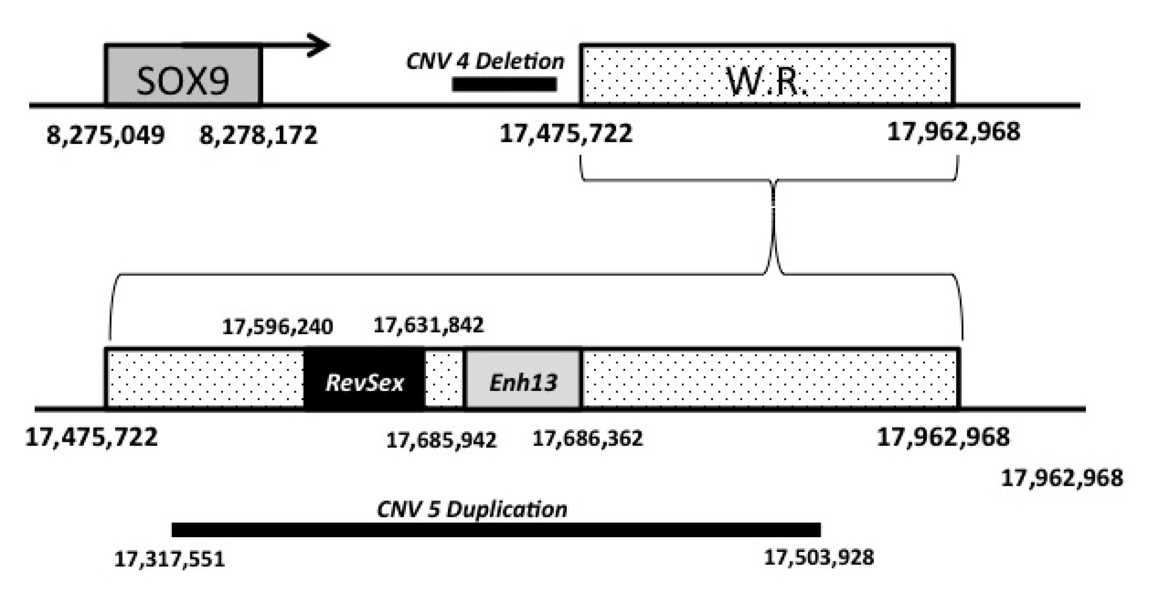 Animals 10 01667 g006