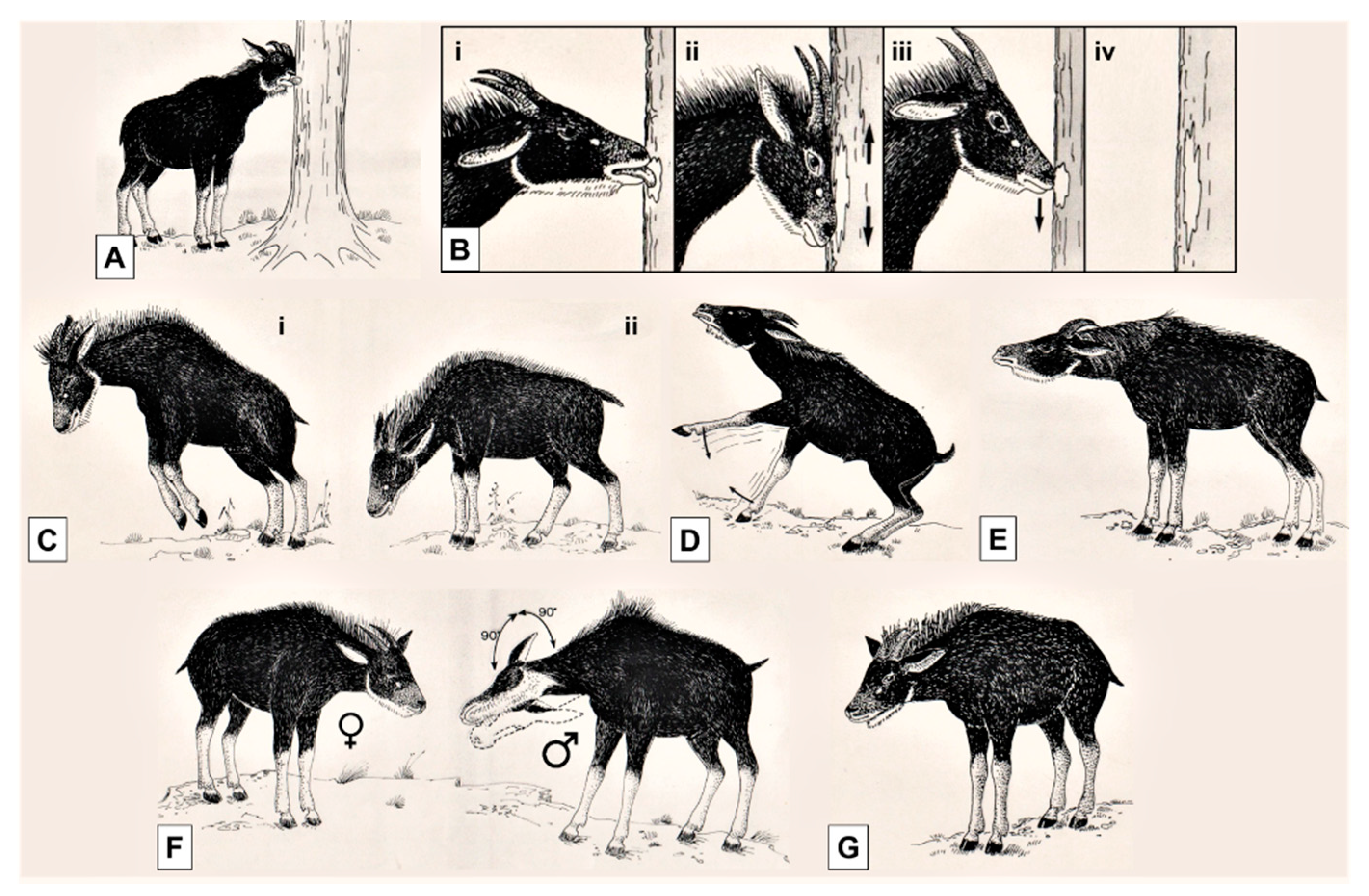 Animals 10 01669 g003