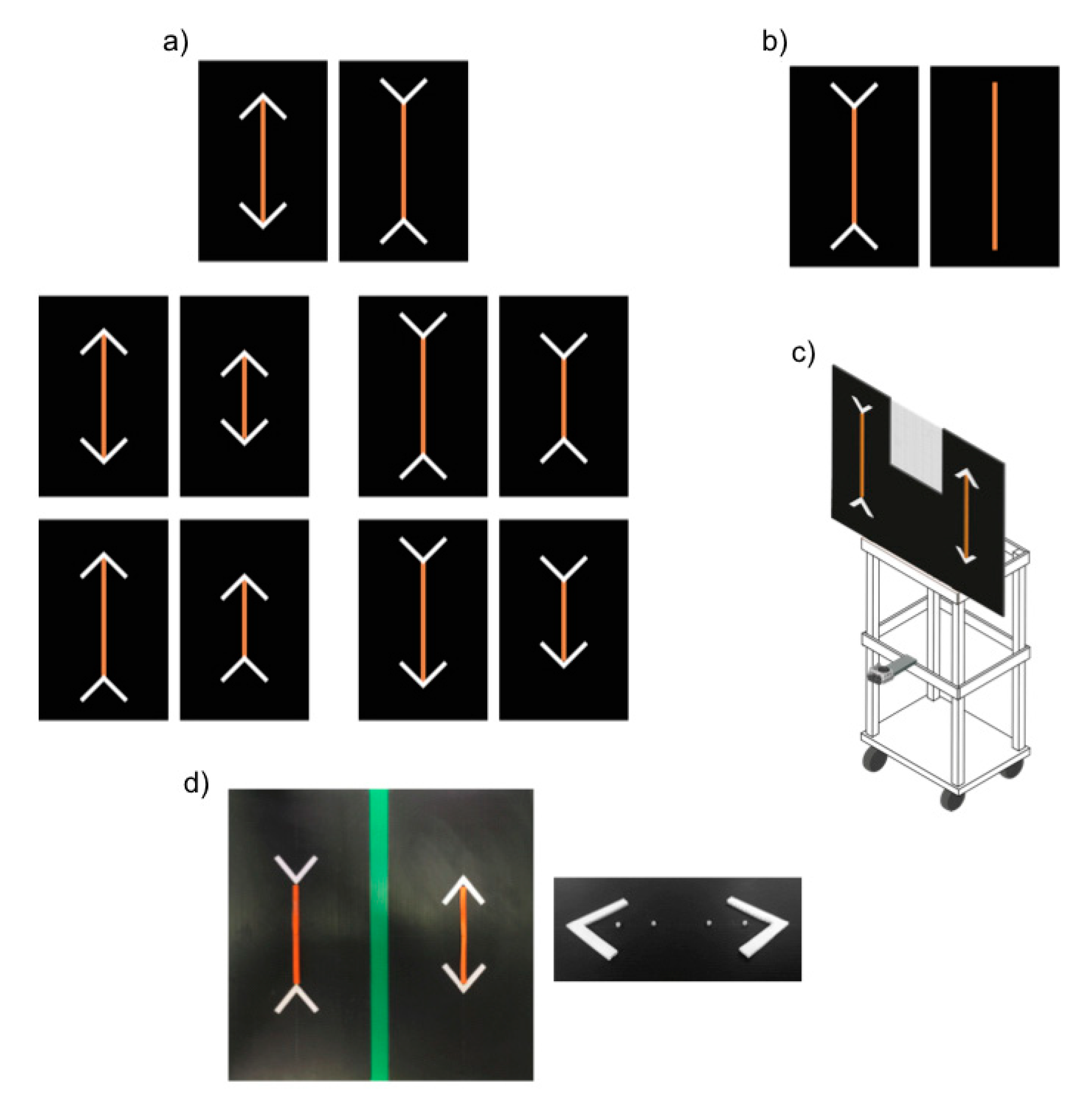 Animals 10 01673 g001