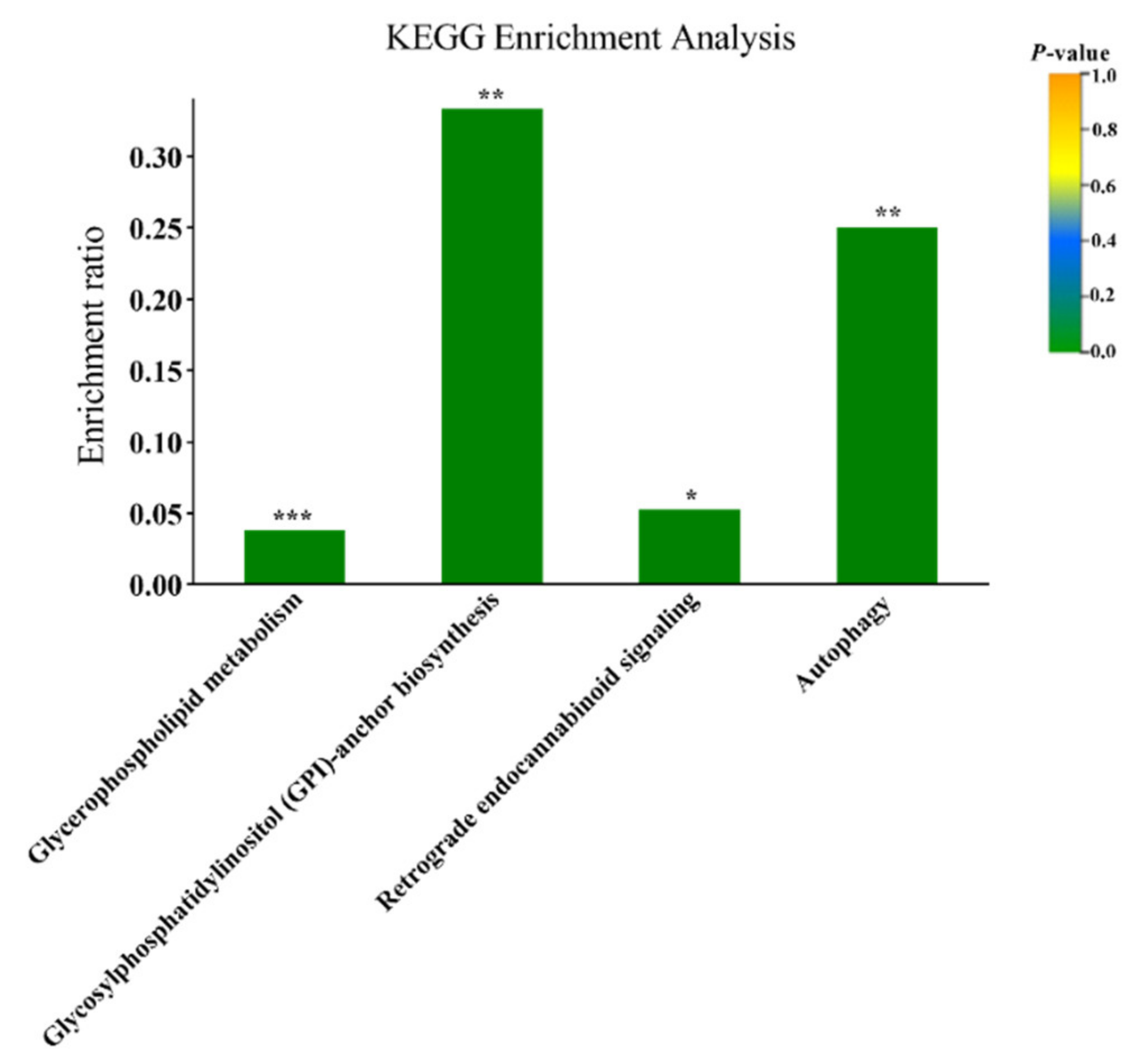 Animals 10 01709 g003
