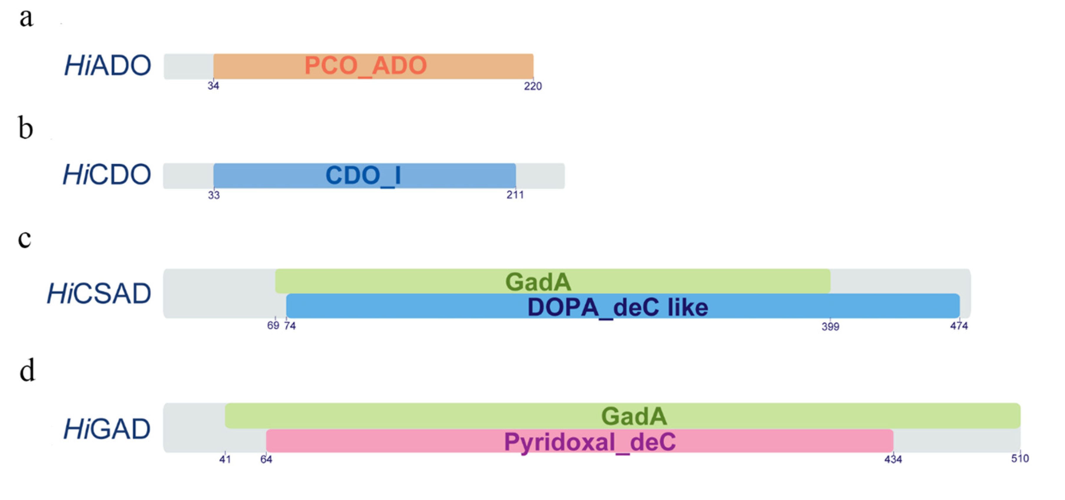 Animals 10 01710 g003