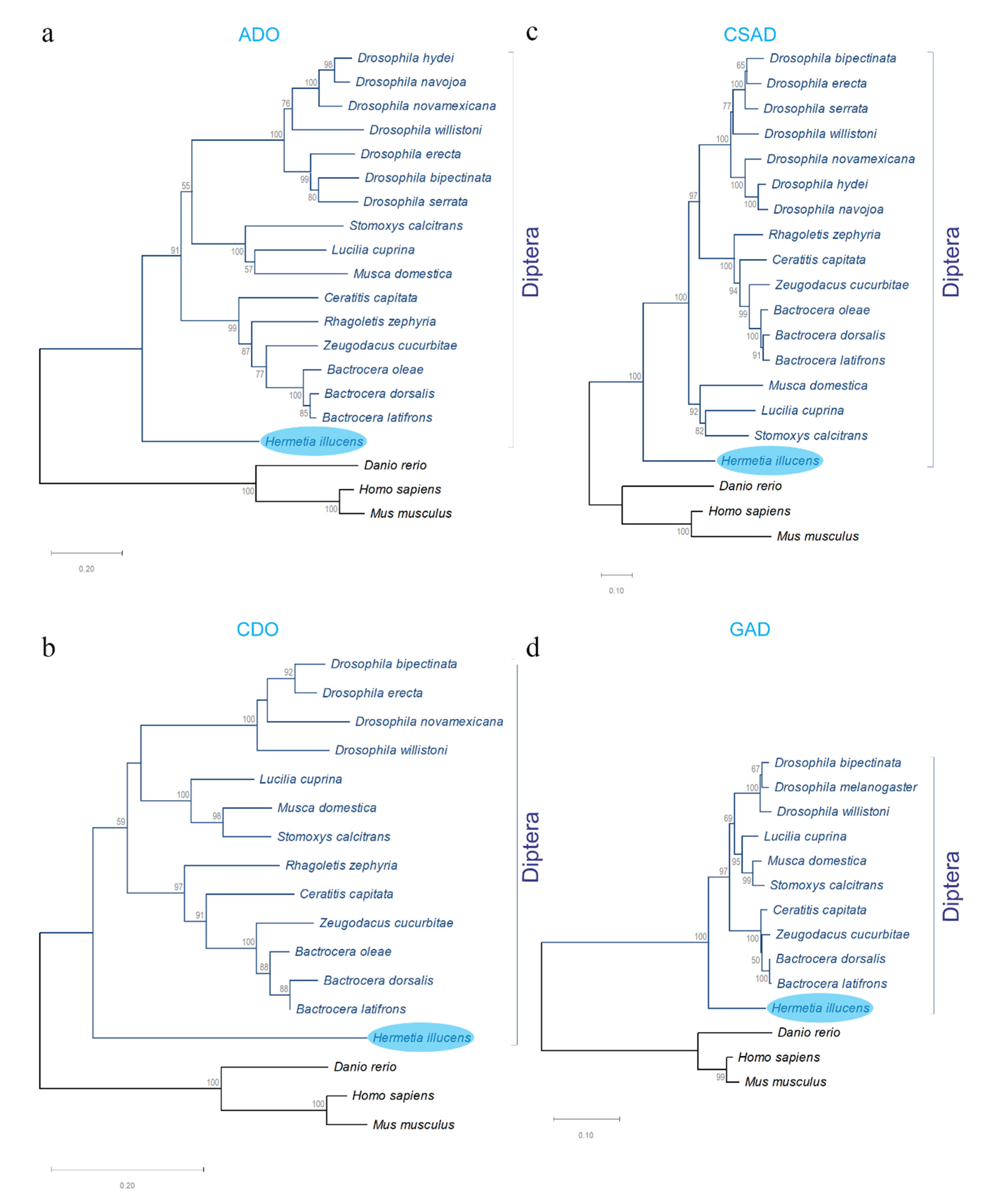 Animals 10 01710 g004