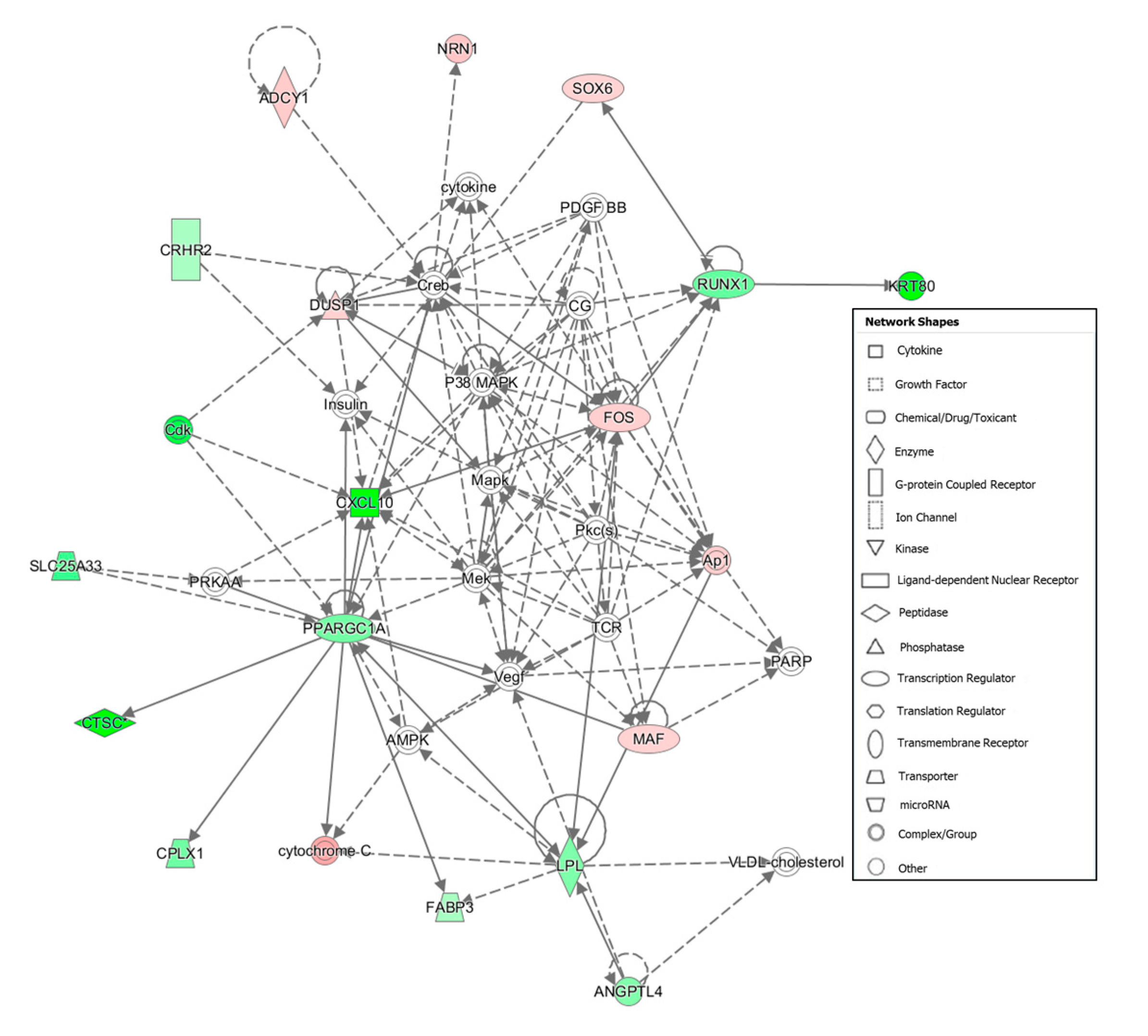 Animals 10 01715 g001