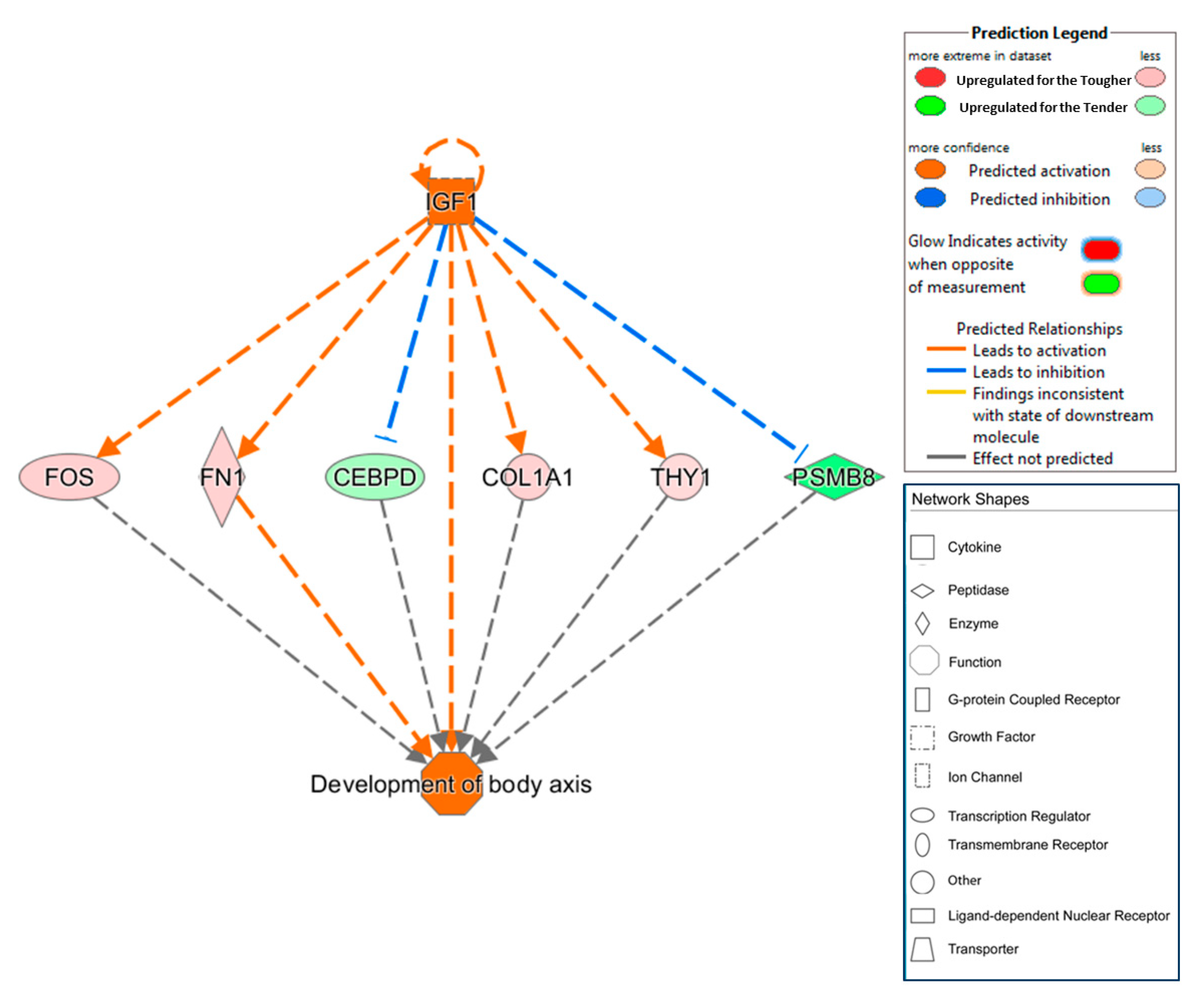 Animals 10 01715 g003