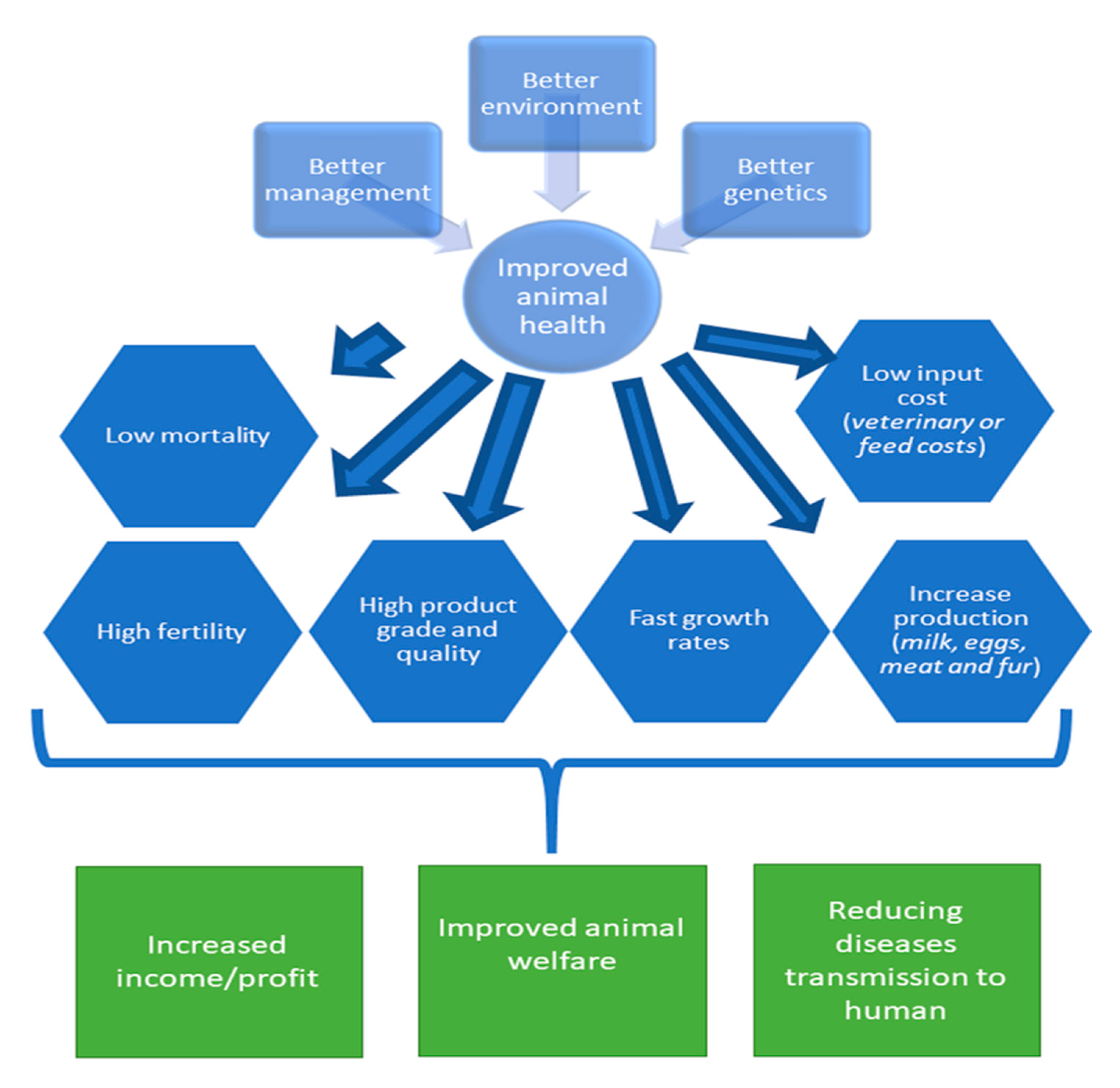 Animals 10 01717 g002 Animals 10 01717 g002