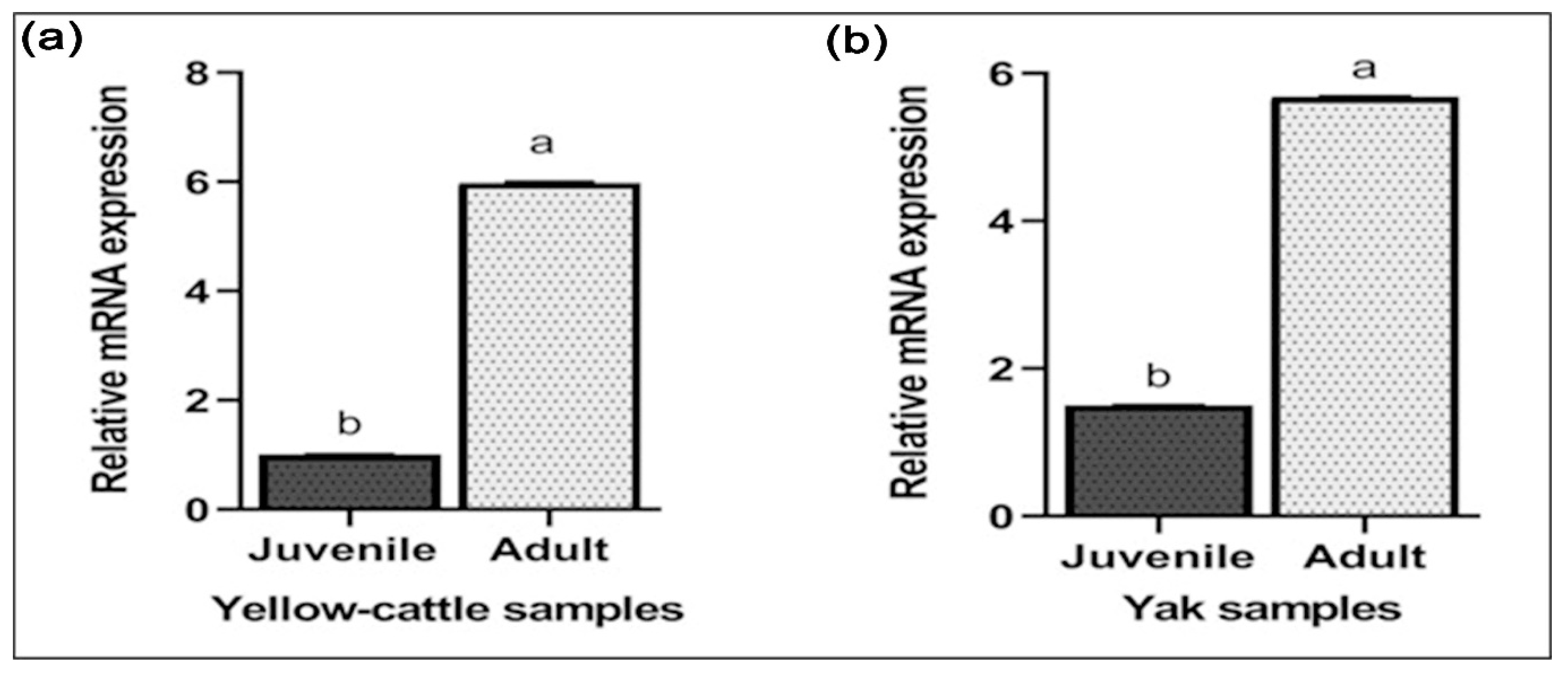 Animals 10 01731 g007