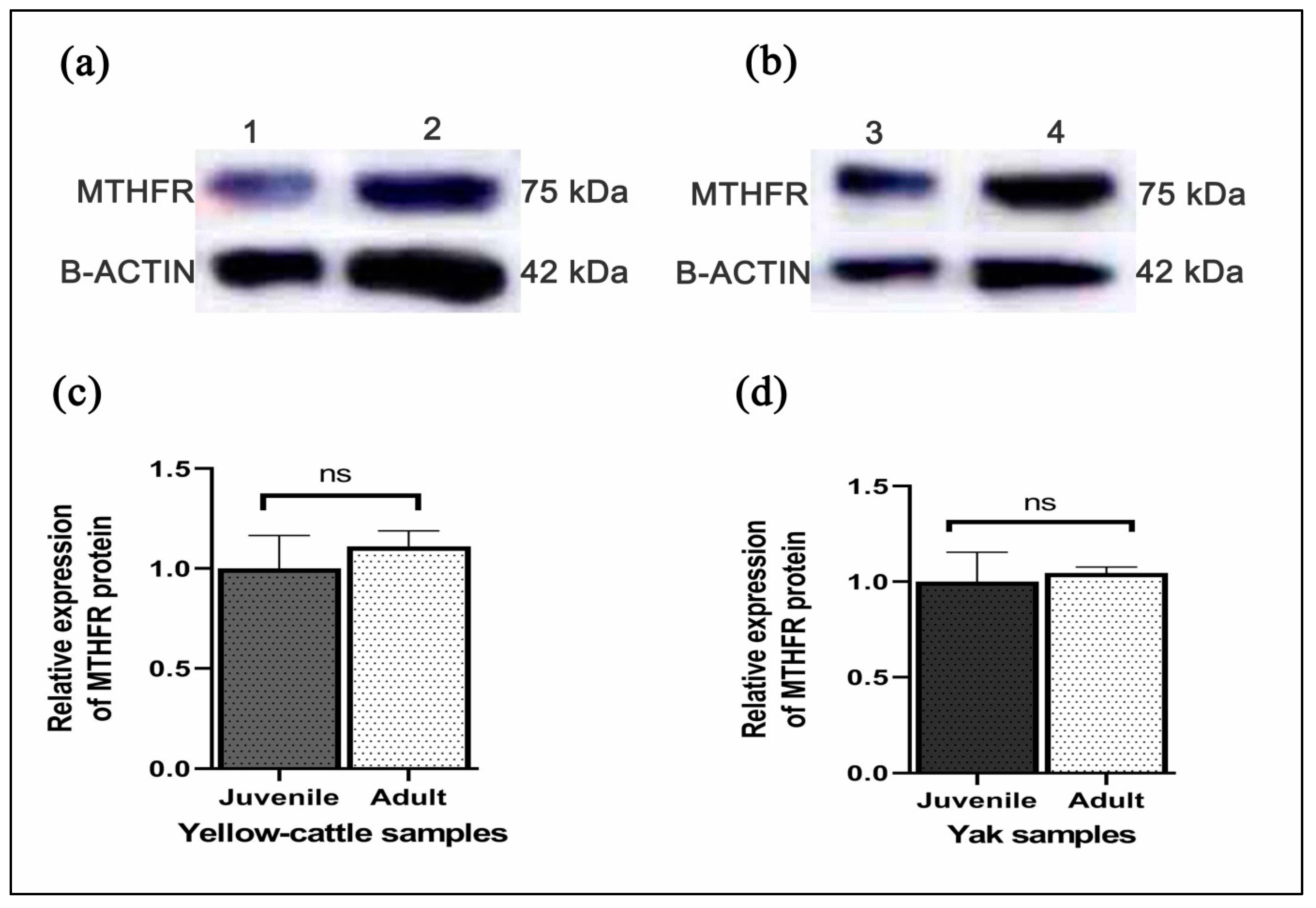 Animals 10 01731 g008
