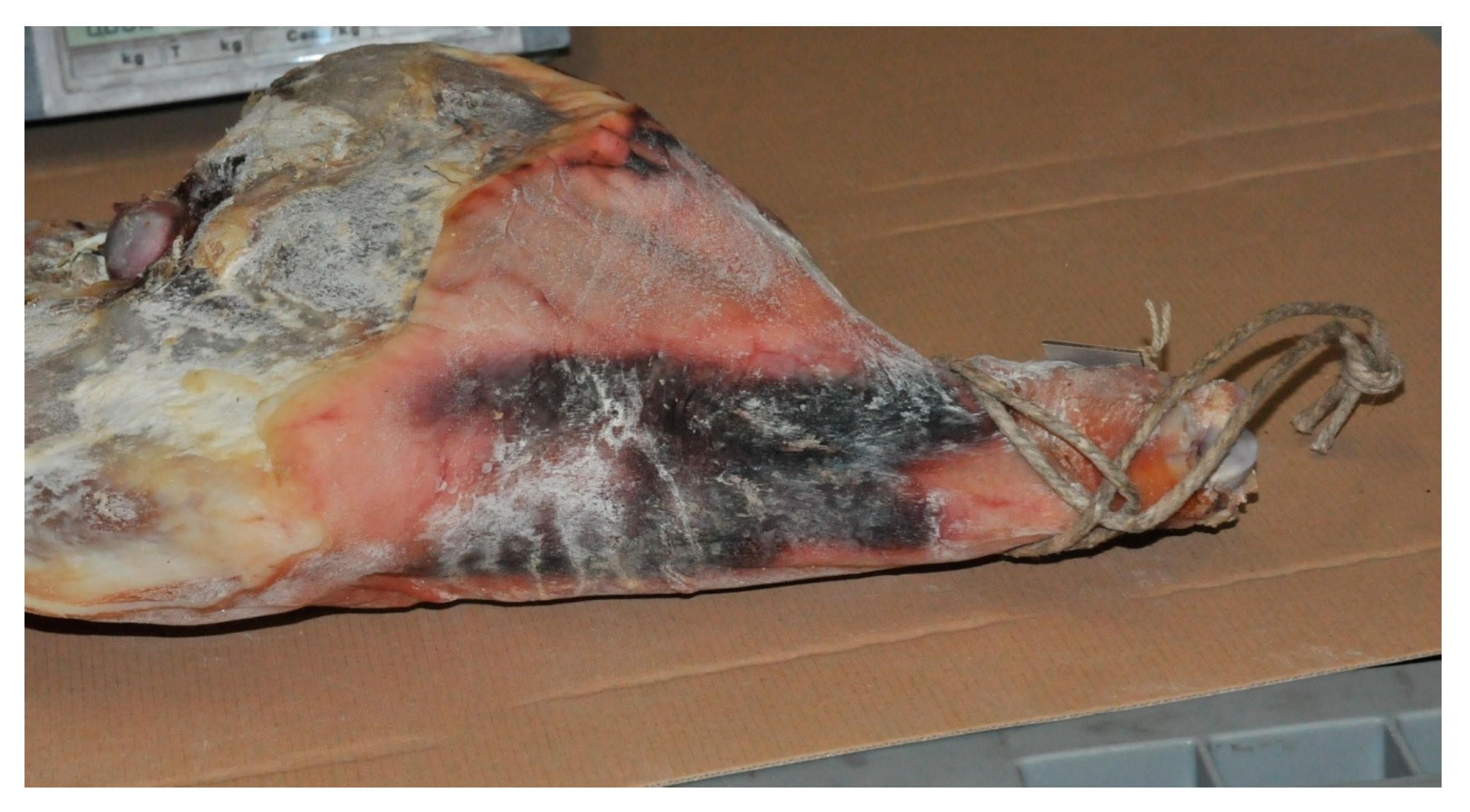 Animals 10 01754 g003