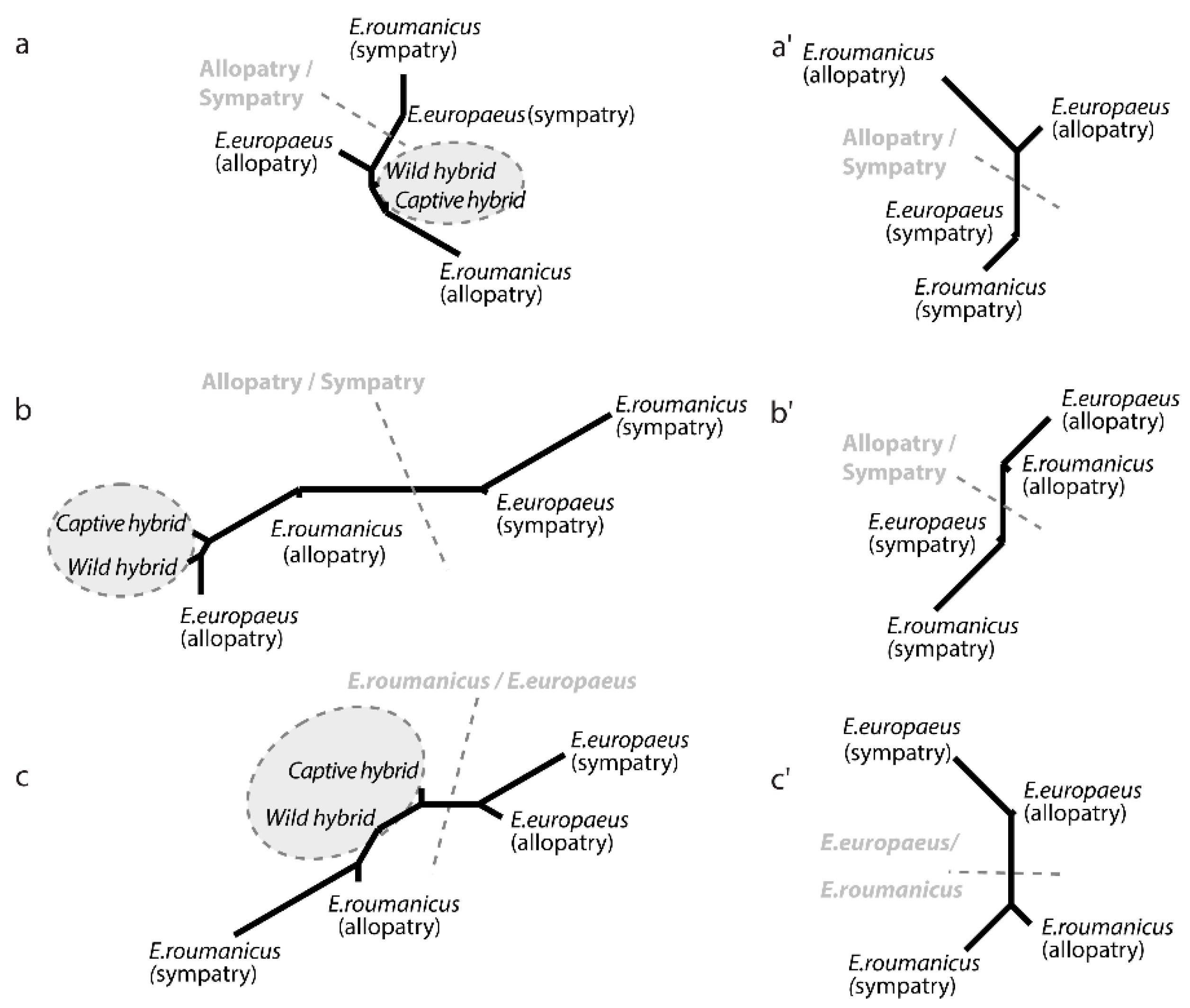 Animals 10 01803 g005