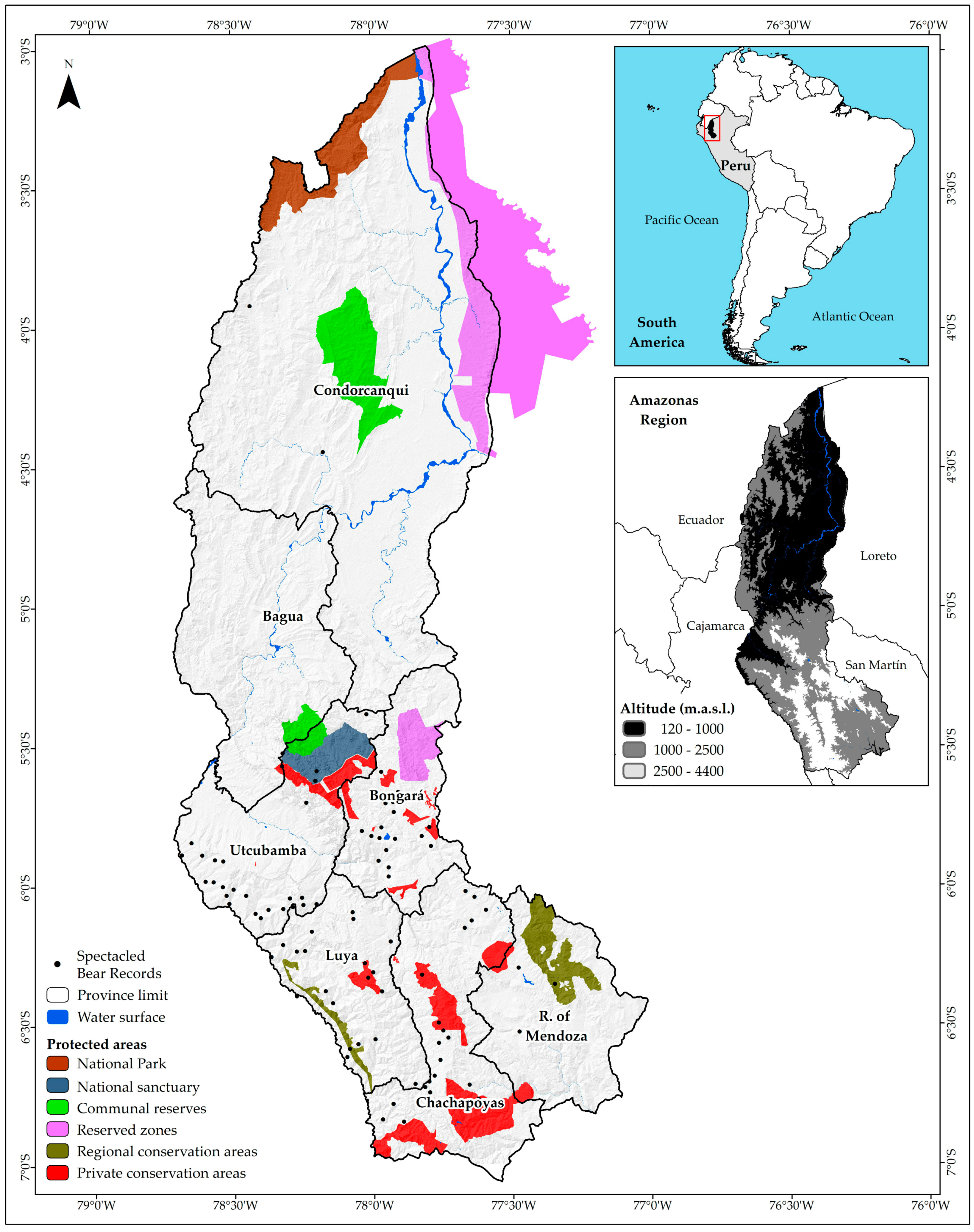 Animals 10 01816 g001