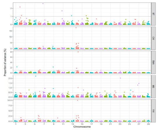 Cattle GWAS Manhattan plots from SNP-array genotypes (published figure).