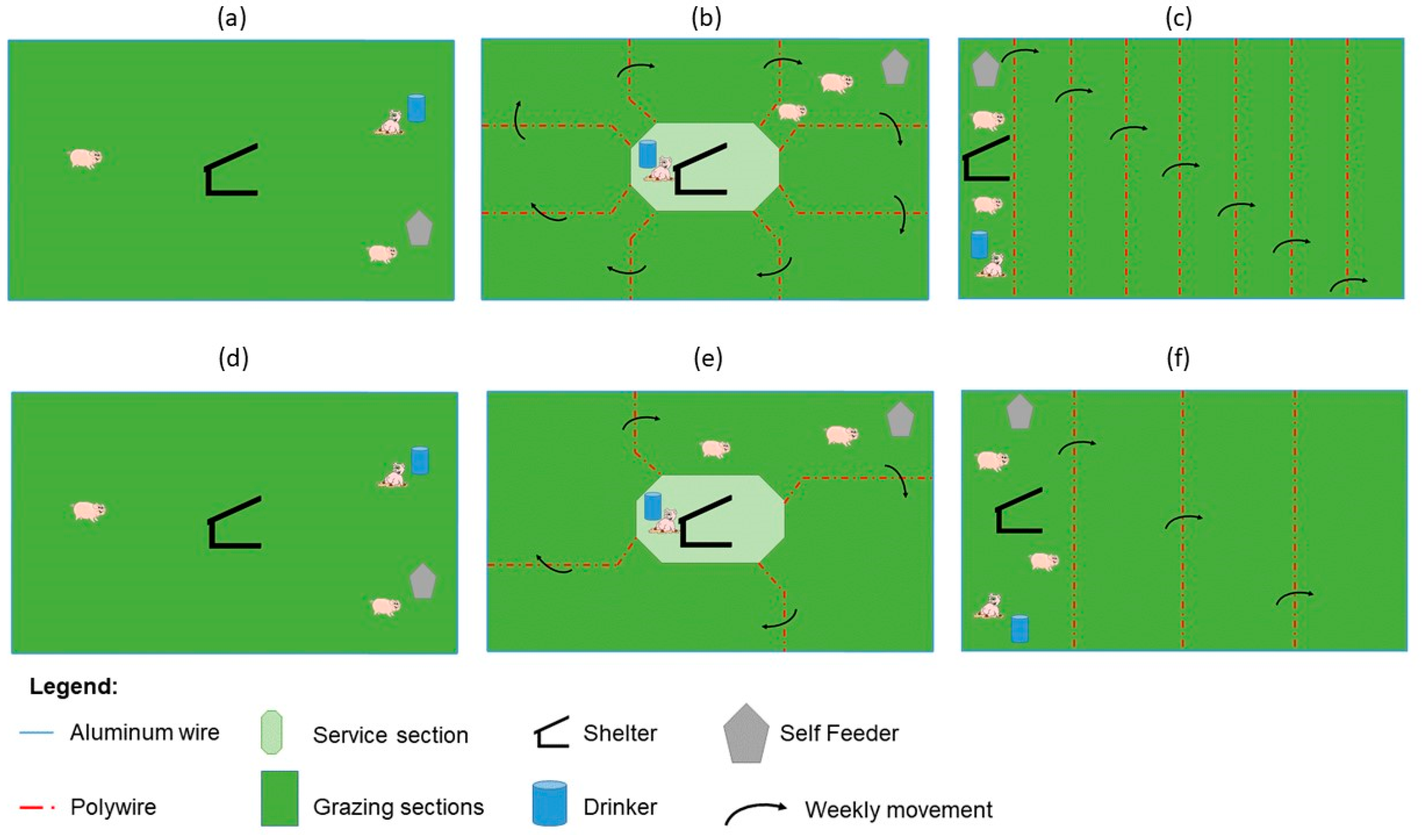Animals 10 01885 g002