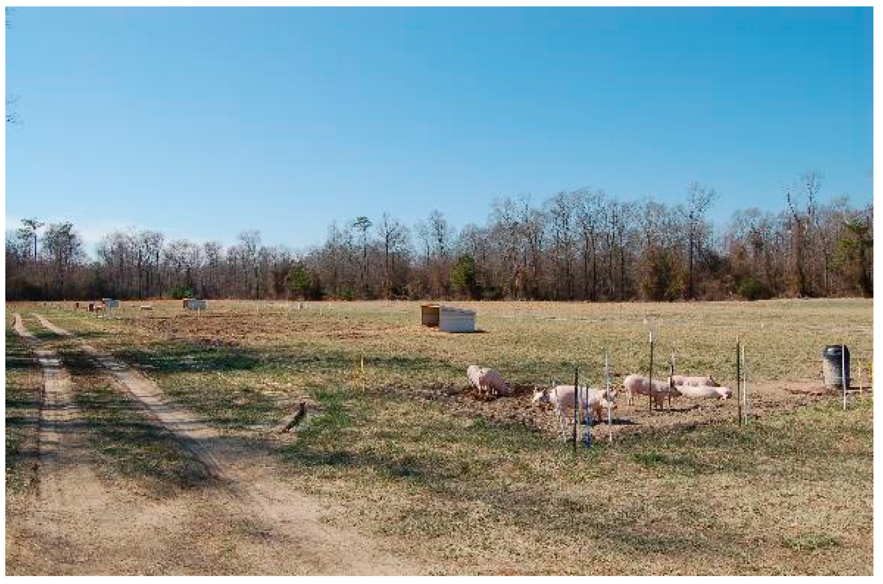 Animals 10 01885 g003