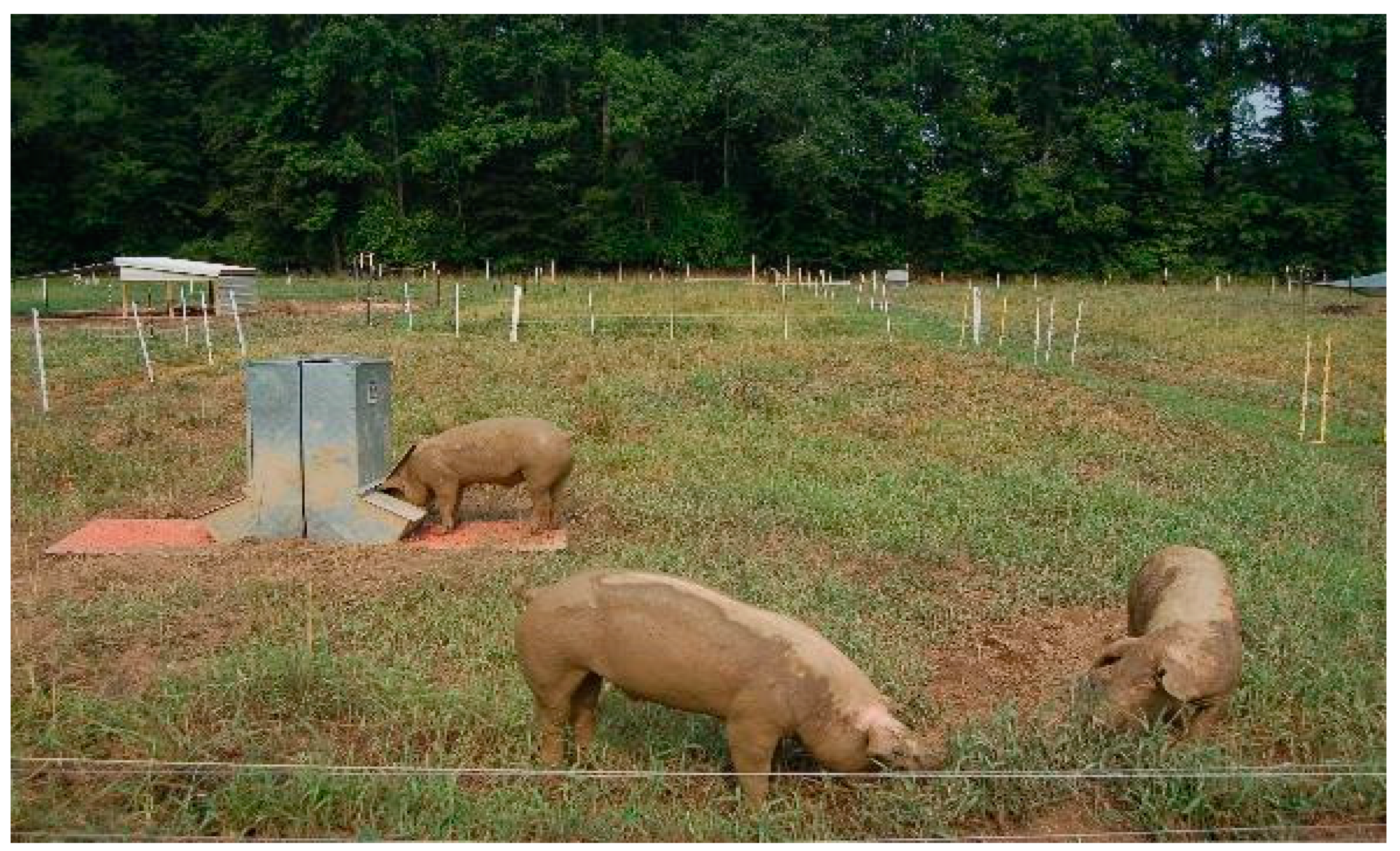 Animals 10 01885 g004