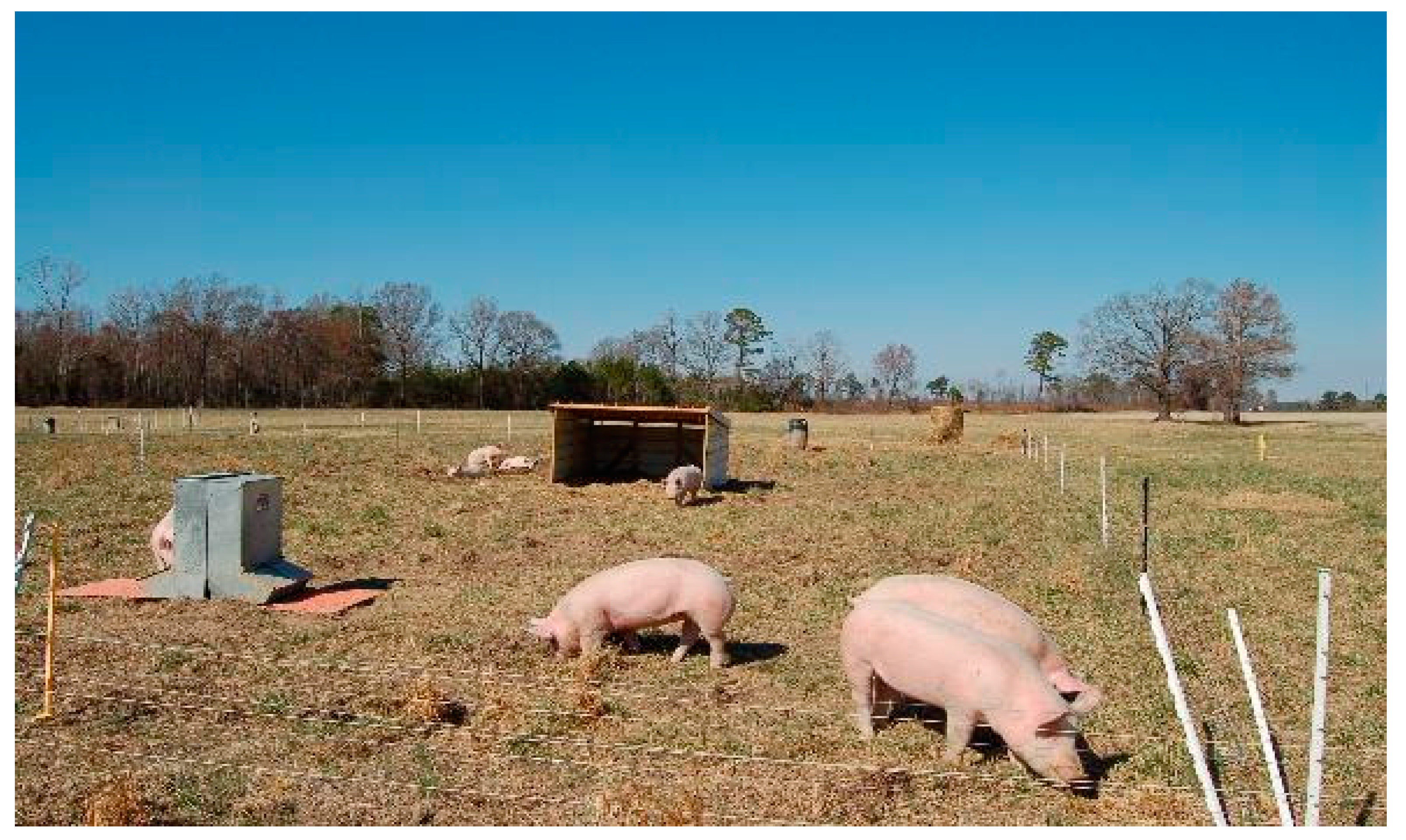 Animals 10 01885 g005