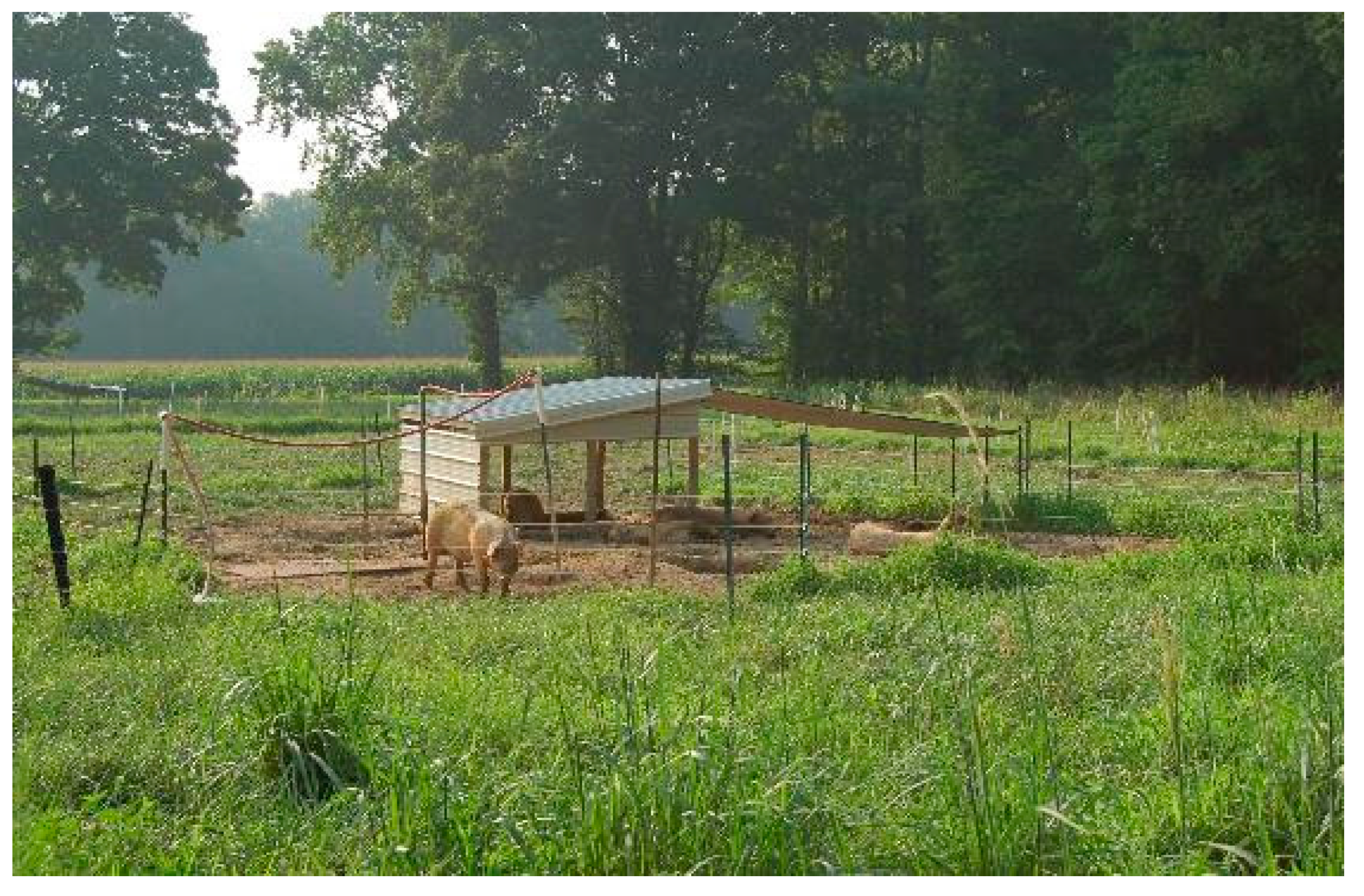 Animals 10 01885 g006