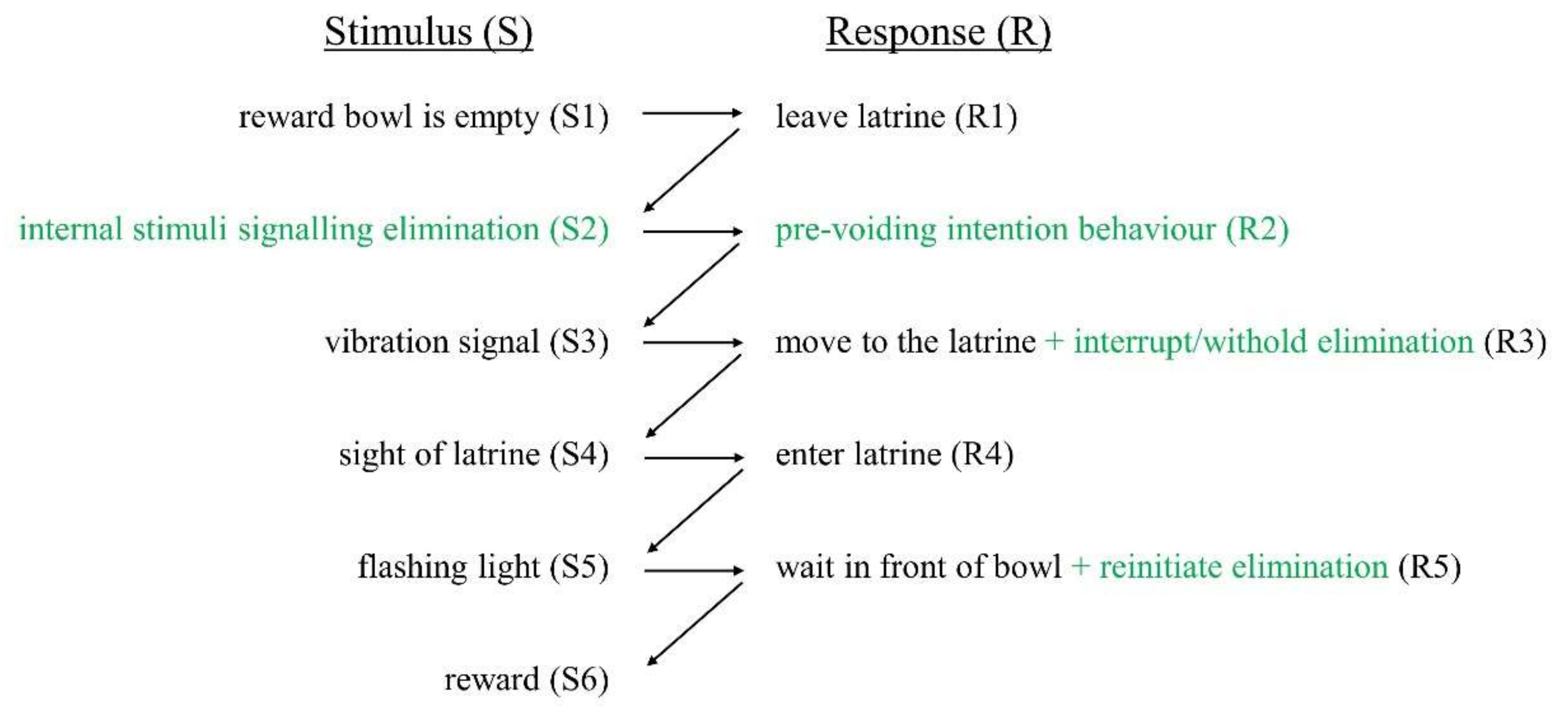 Animals 10 01889 g001