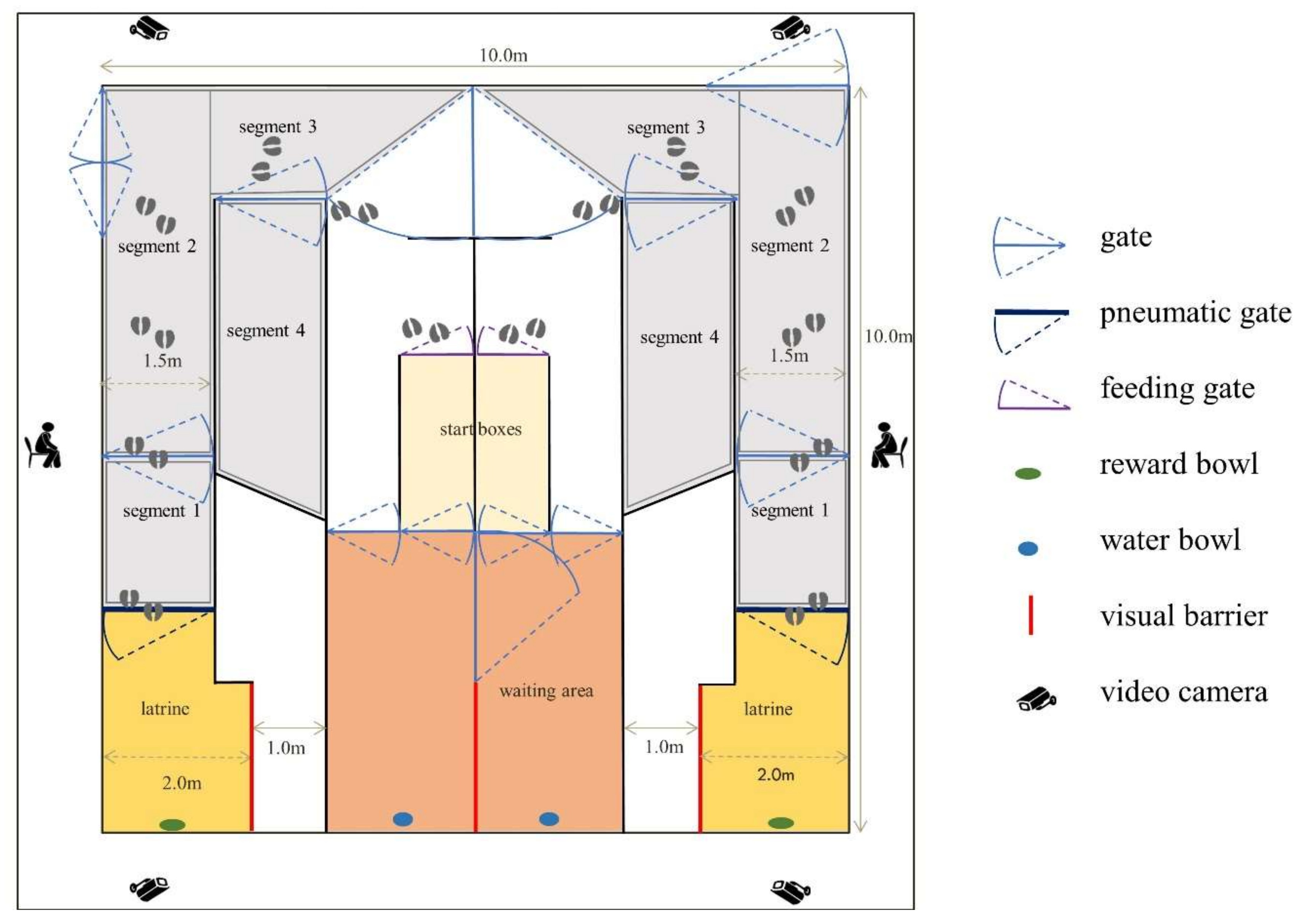 Animals 10 01889 g002