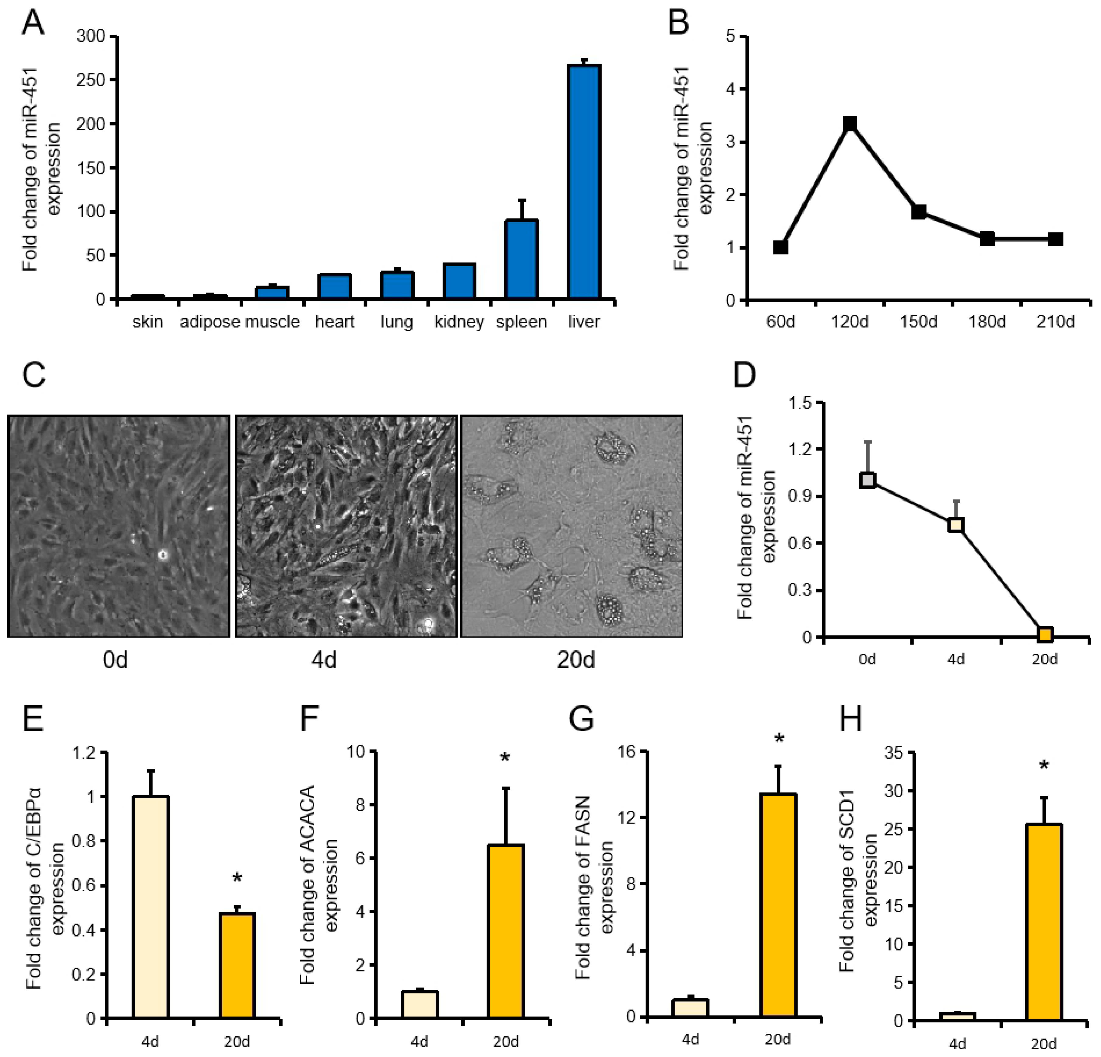 Animals 10 01891 g001