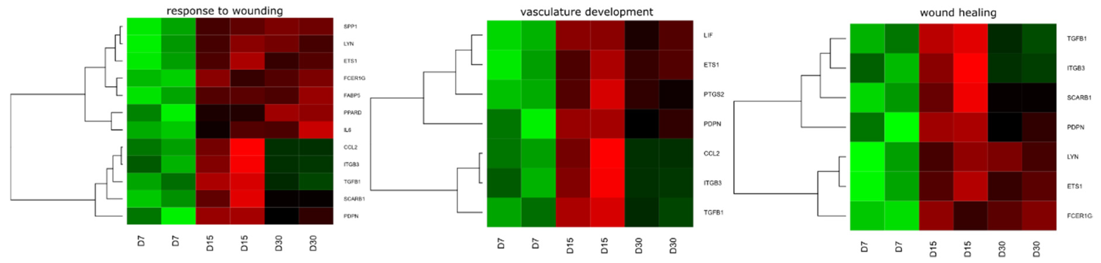 Animals 10 01938 g003