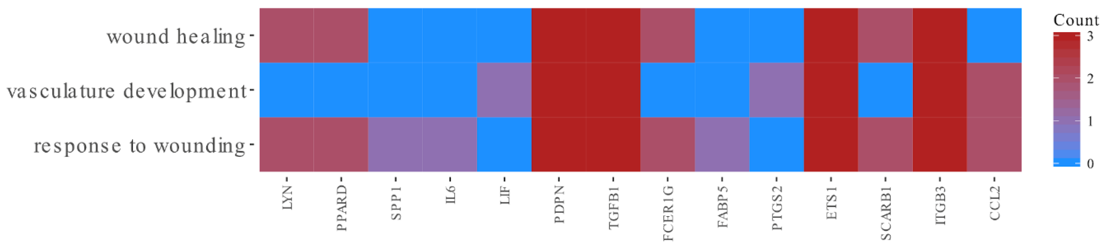Animals 10 01938 g004