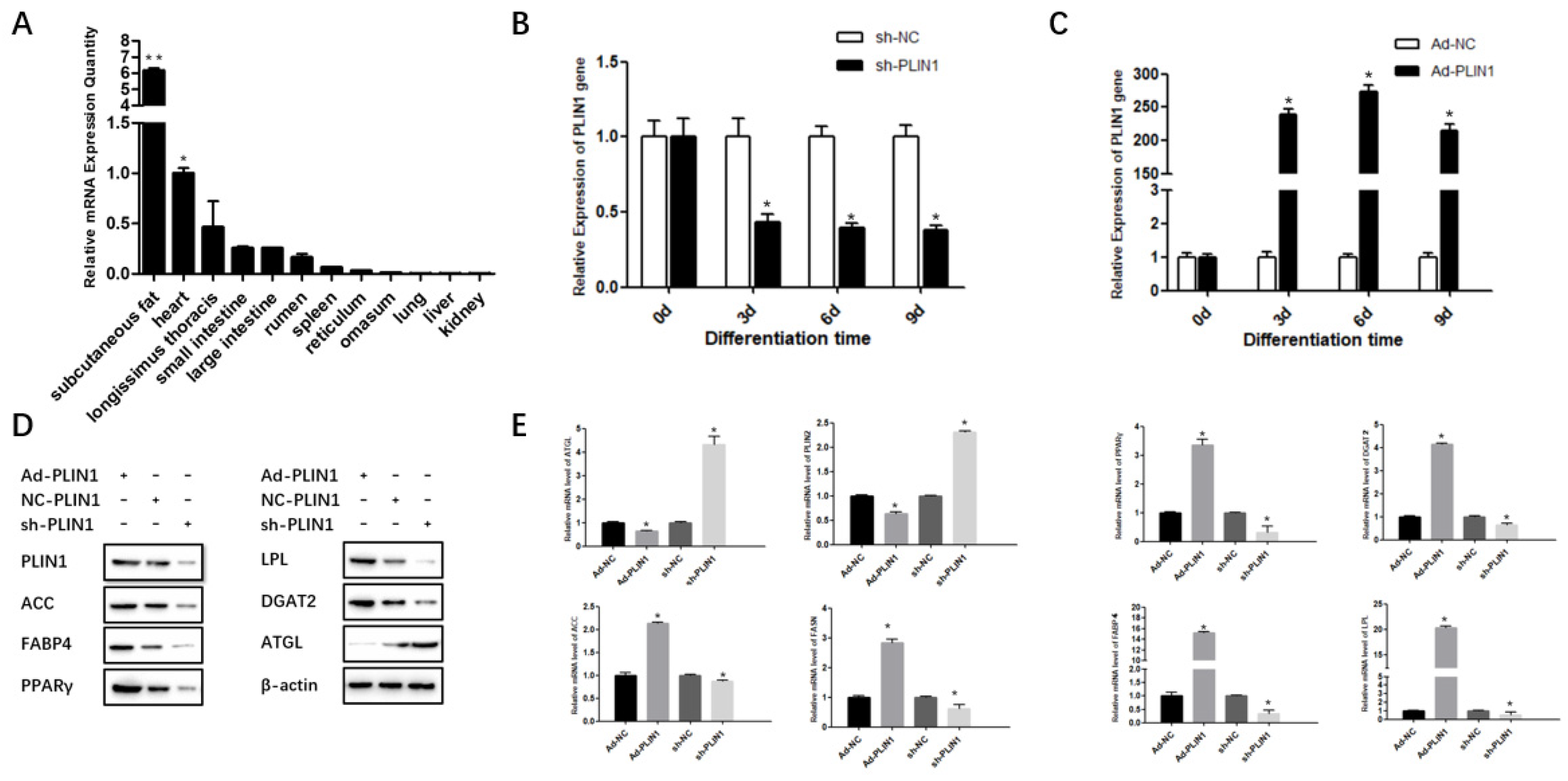 Animals 10 01944 g001