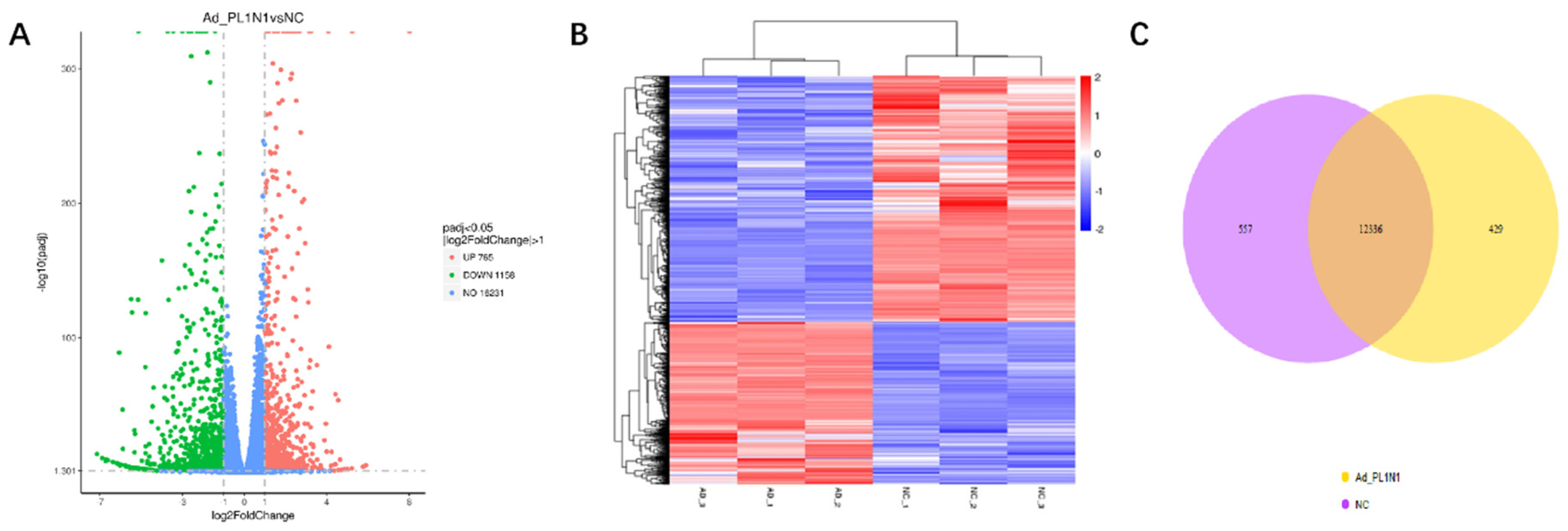 Animals 10 01944 g003