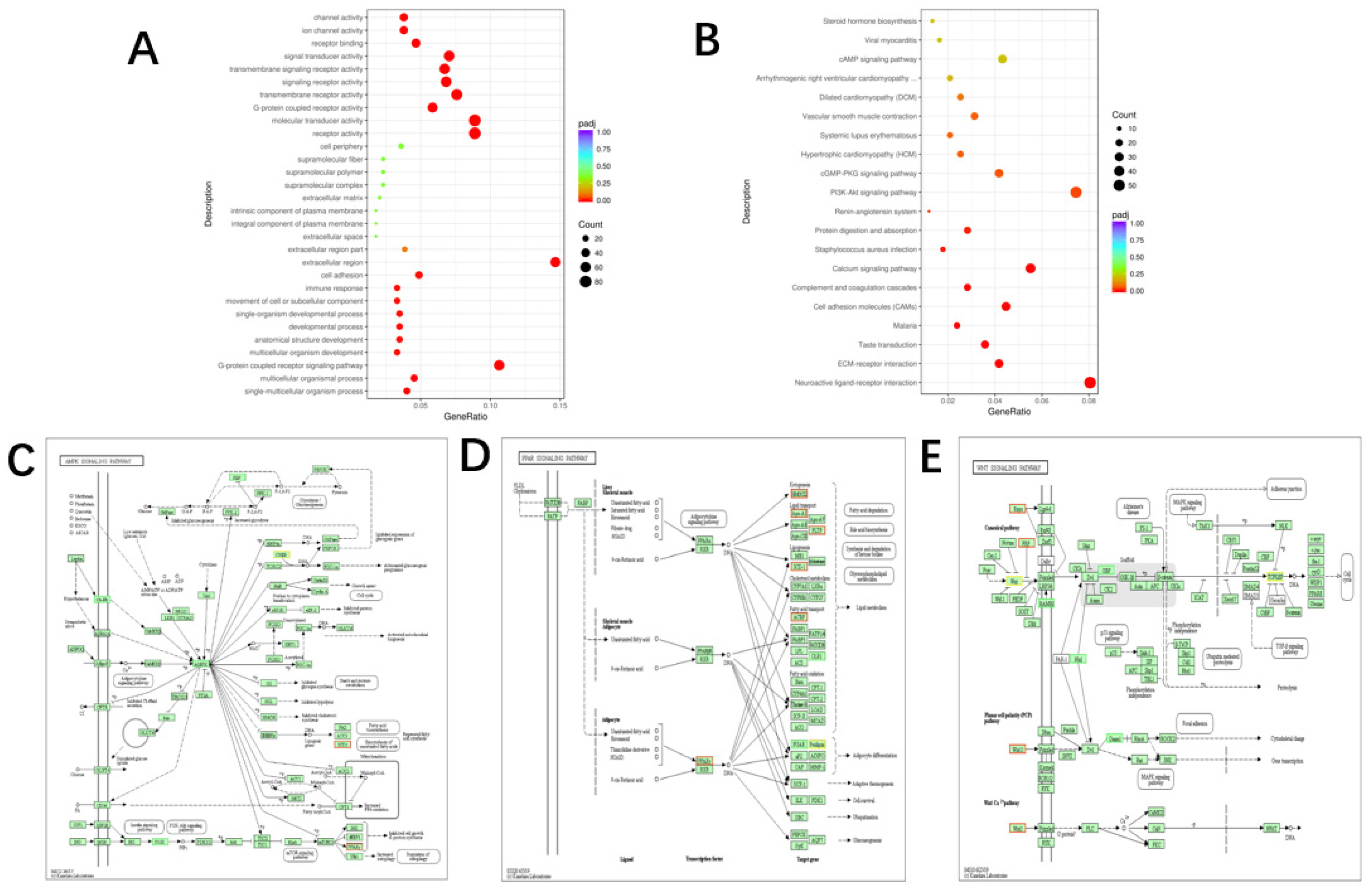 Animals 10 01944 g004
