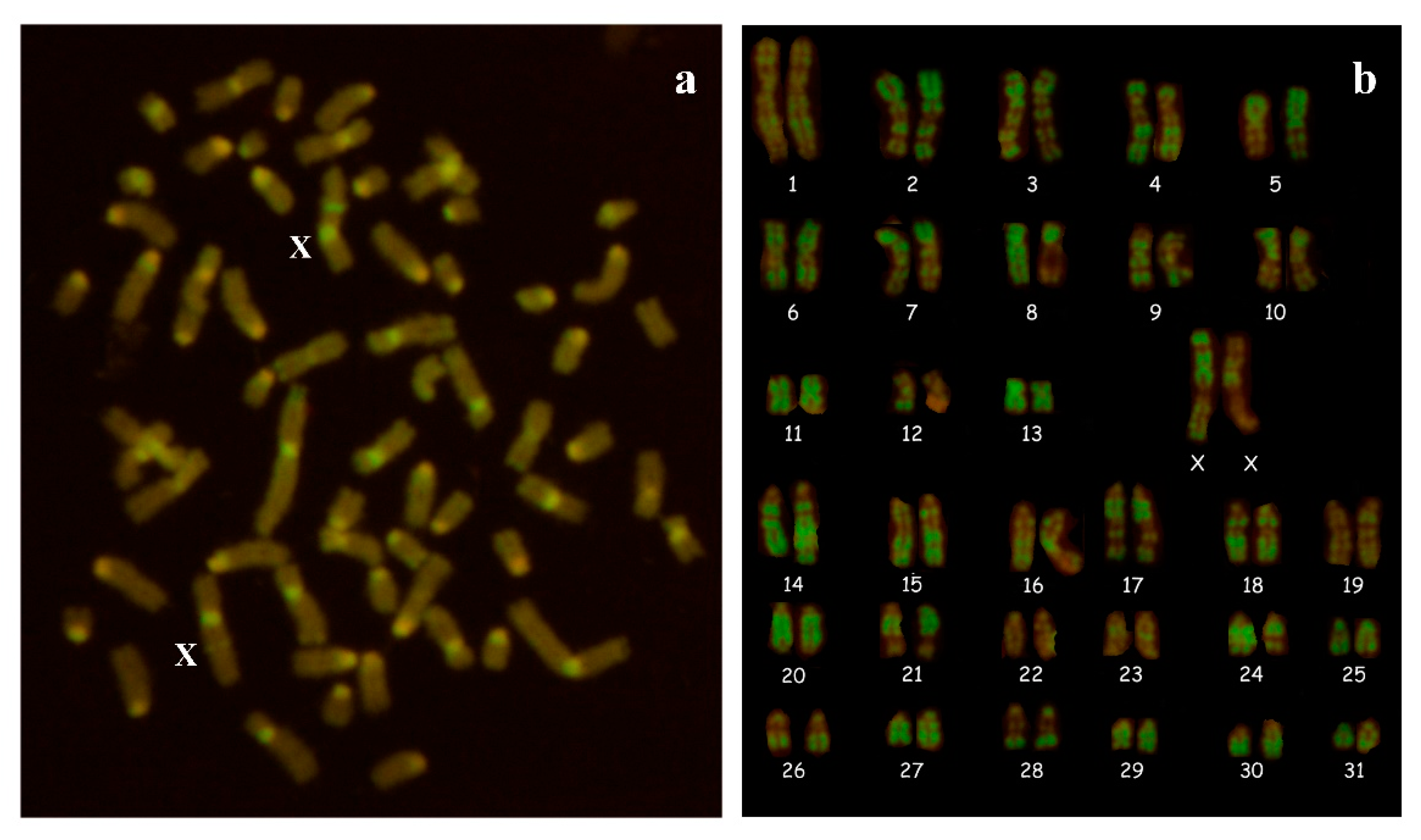Animals 10 01963 g004
