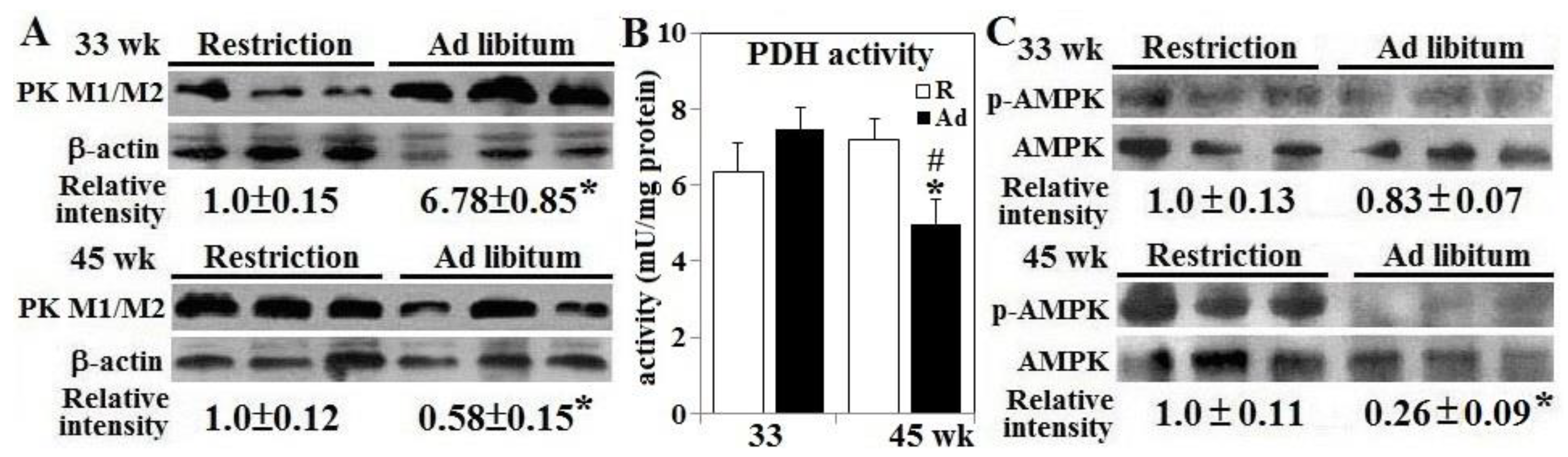 Animals 10 01969 g004