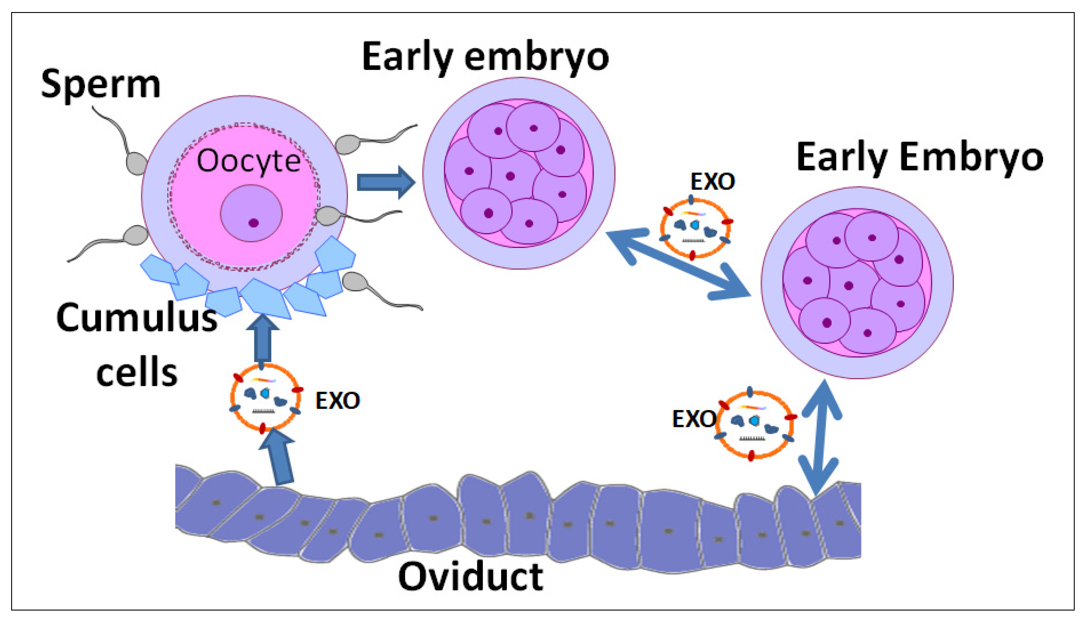 Animals 10 01971 g001 Animals 10 01971 g001