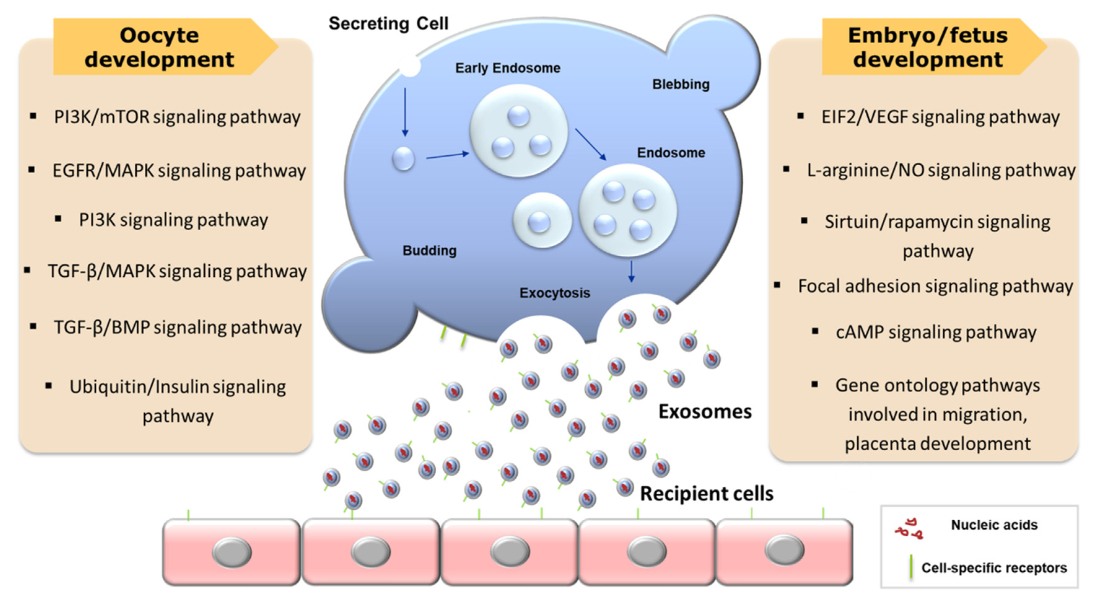 Animals 10 01971 g002 Animals 10 01971 g002