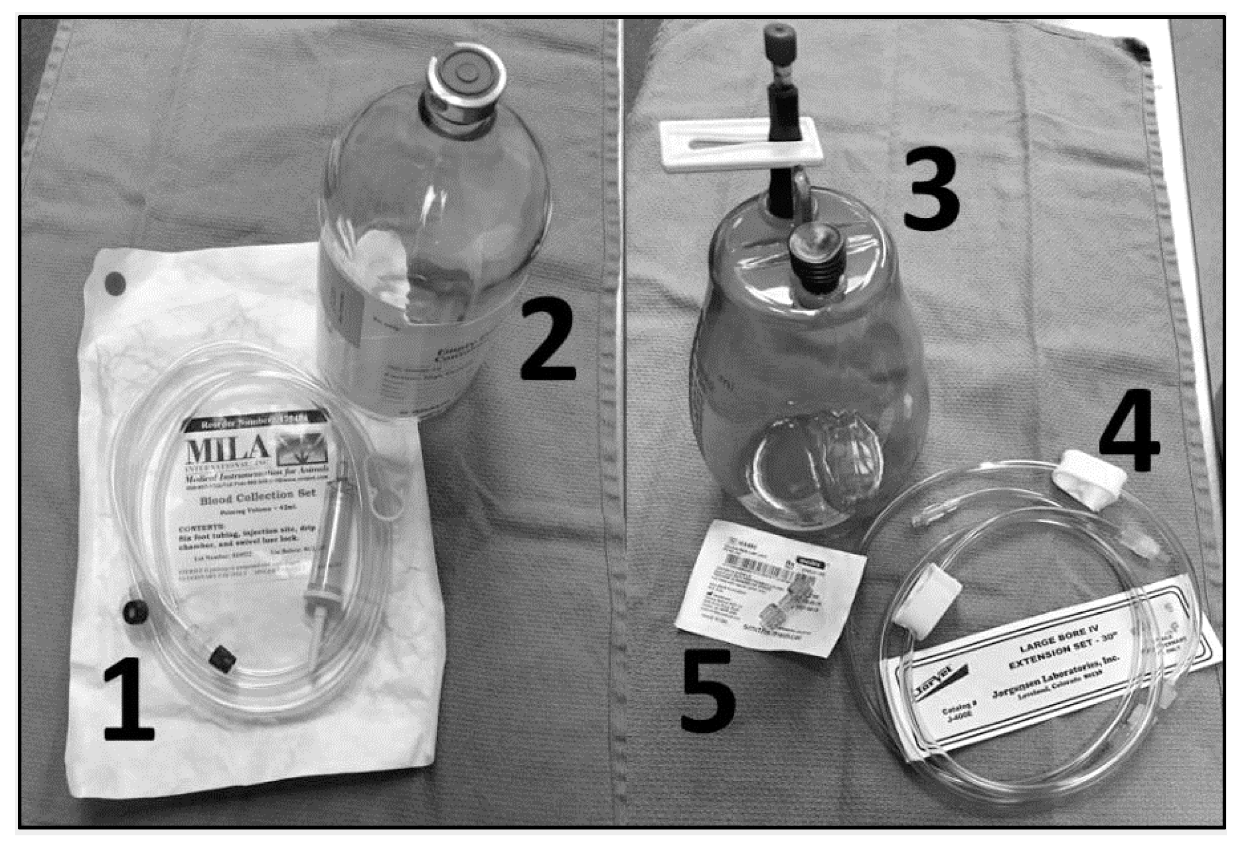 Animals 10 01991 g007