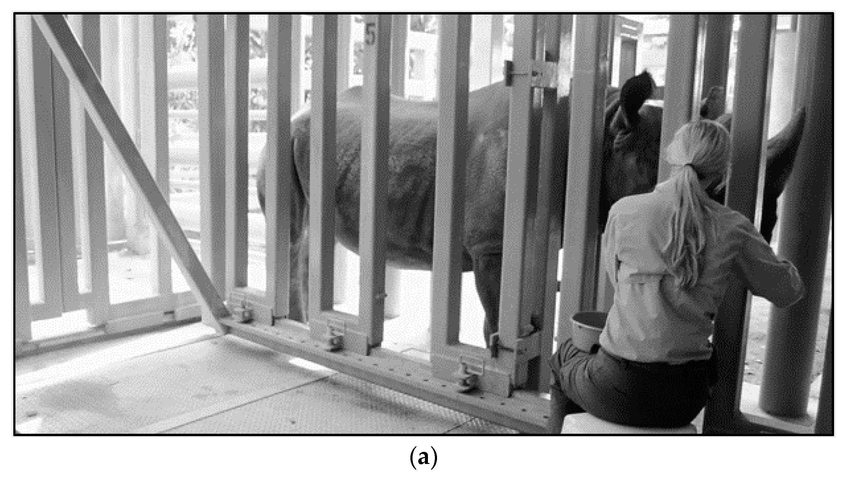 Animals 10 01991 g008a