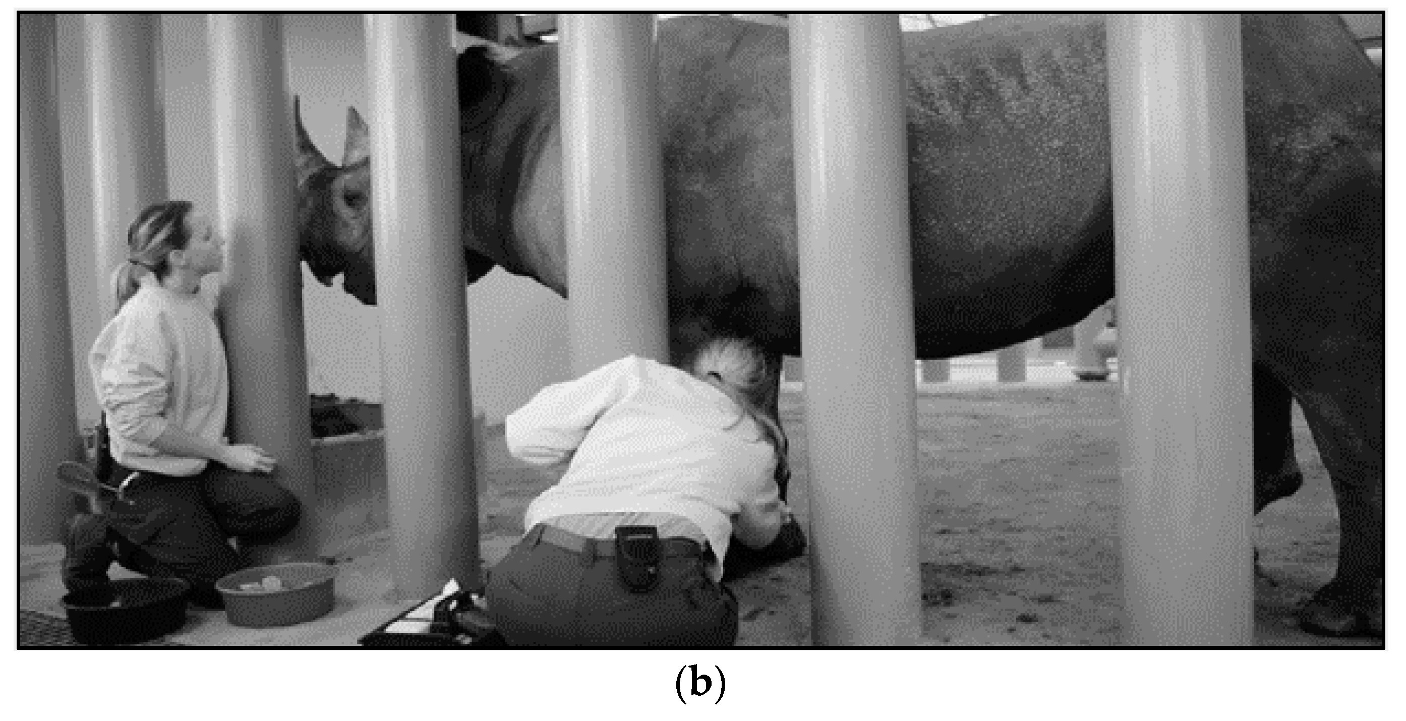 Animals 10 01991 g008b