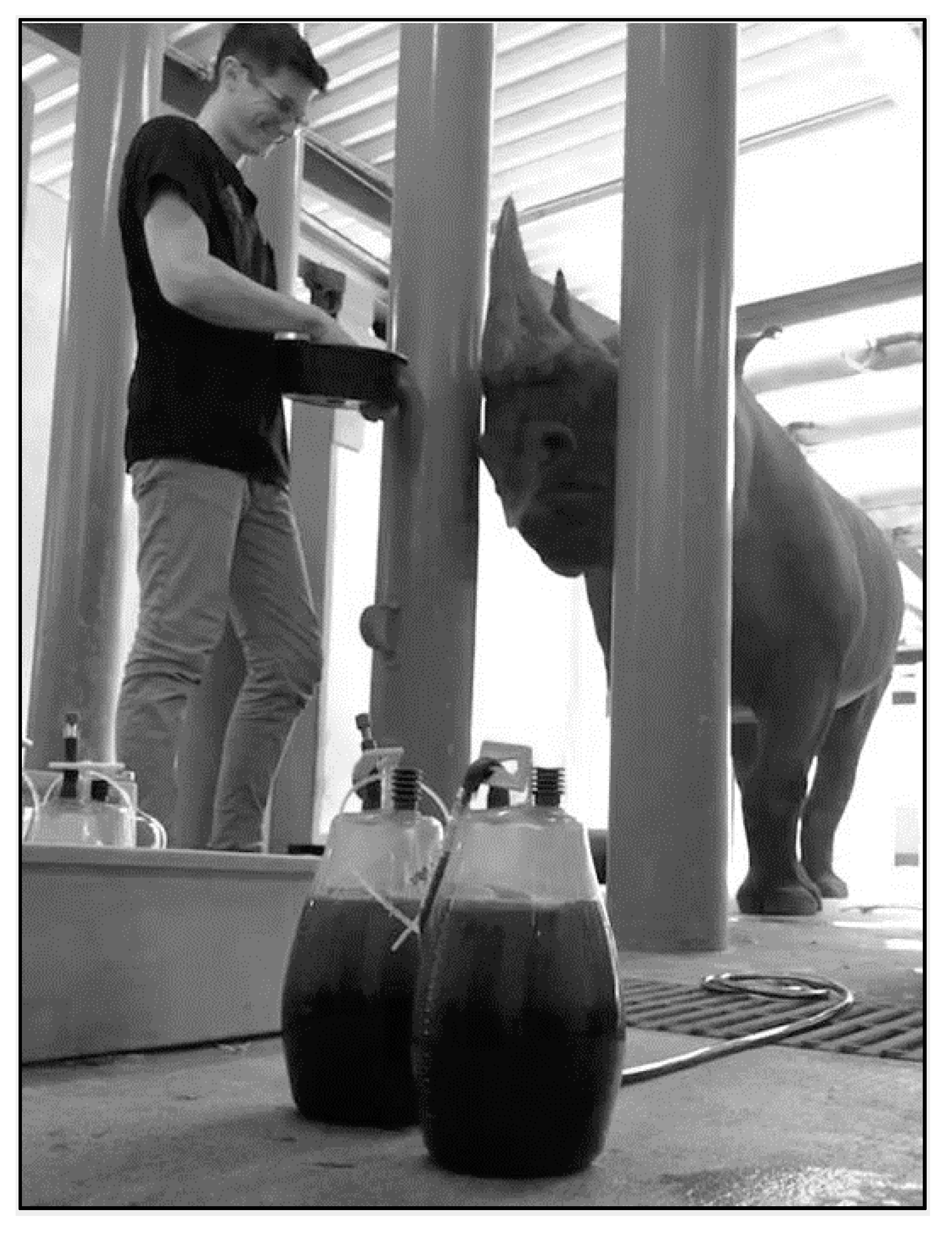 Animals 10 01991 g010