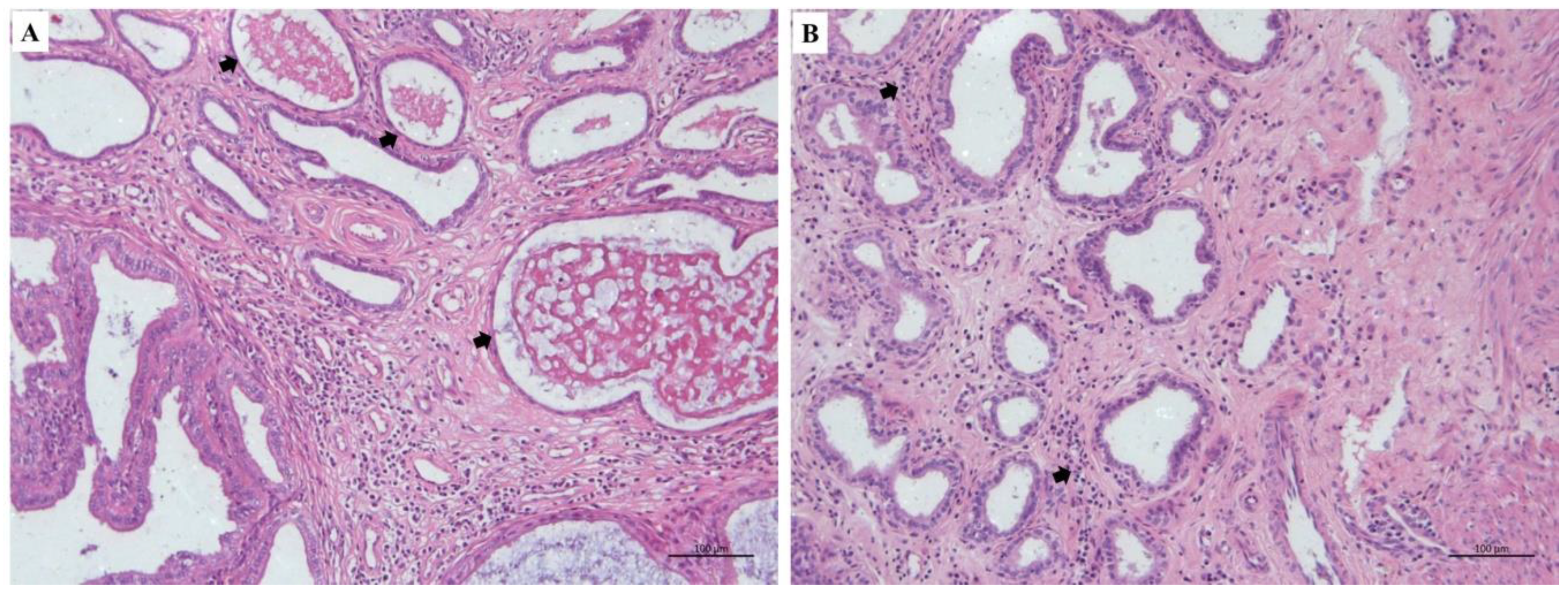 Animals 10 02011 g005