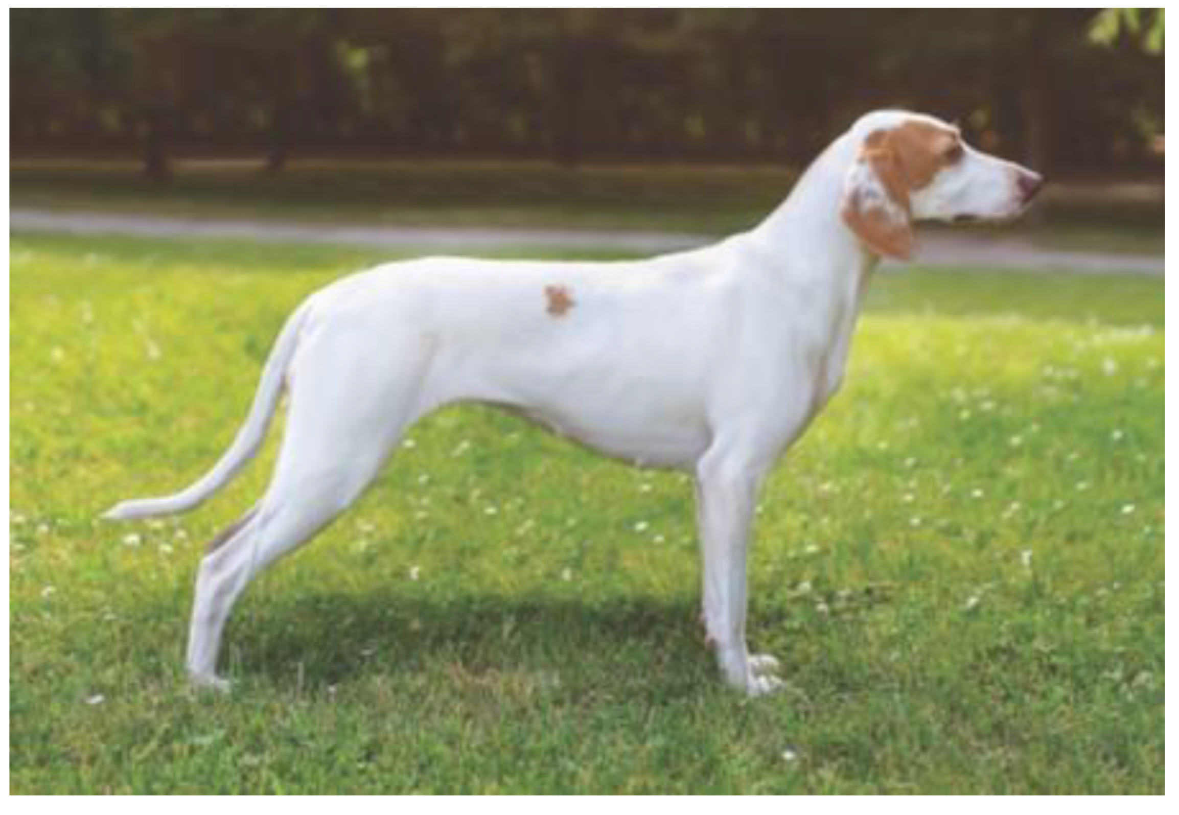 Animals 10 02013 g002 Animals 10 02013 g002