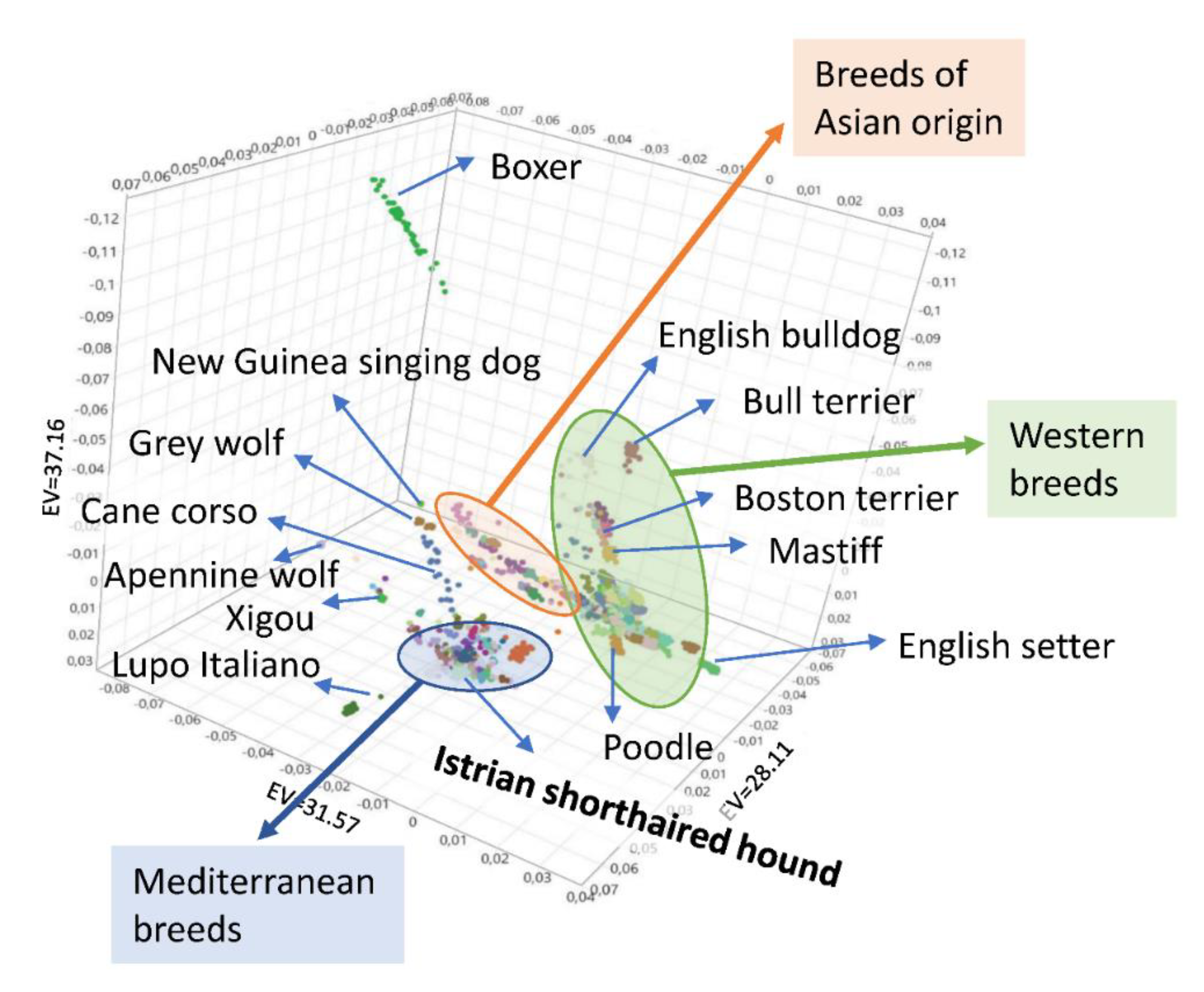 Animals 10 02013 g004 Animals 10 02013 g004