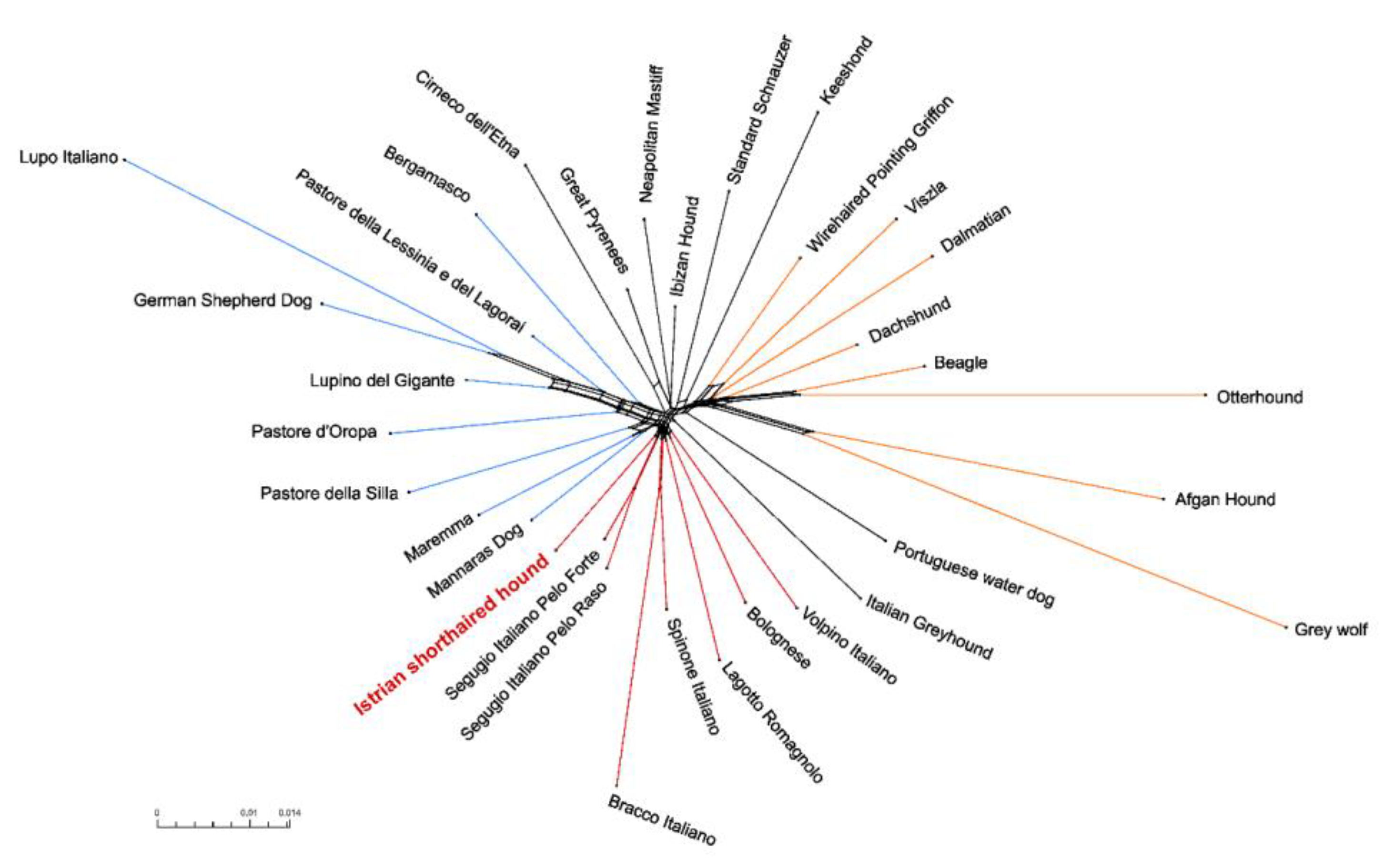 Animals 10 02013 g006 Animals 10 02013 g006