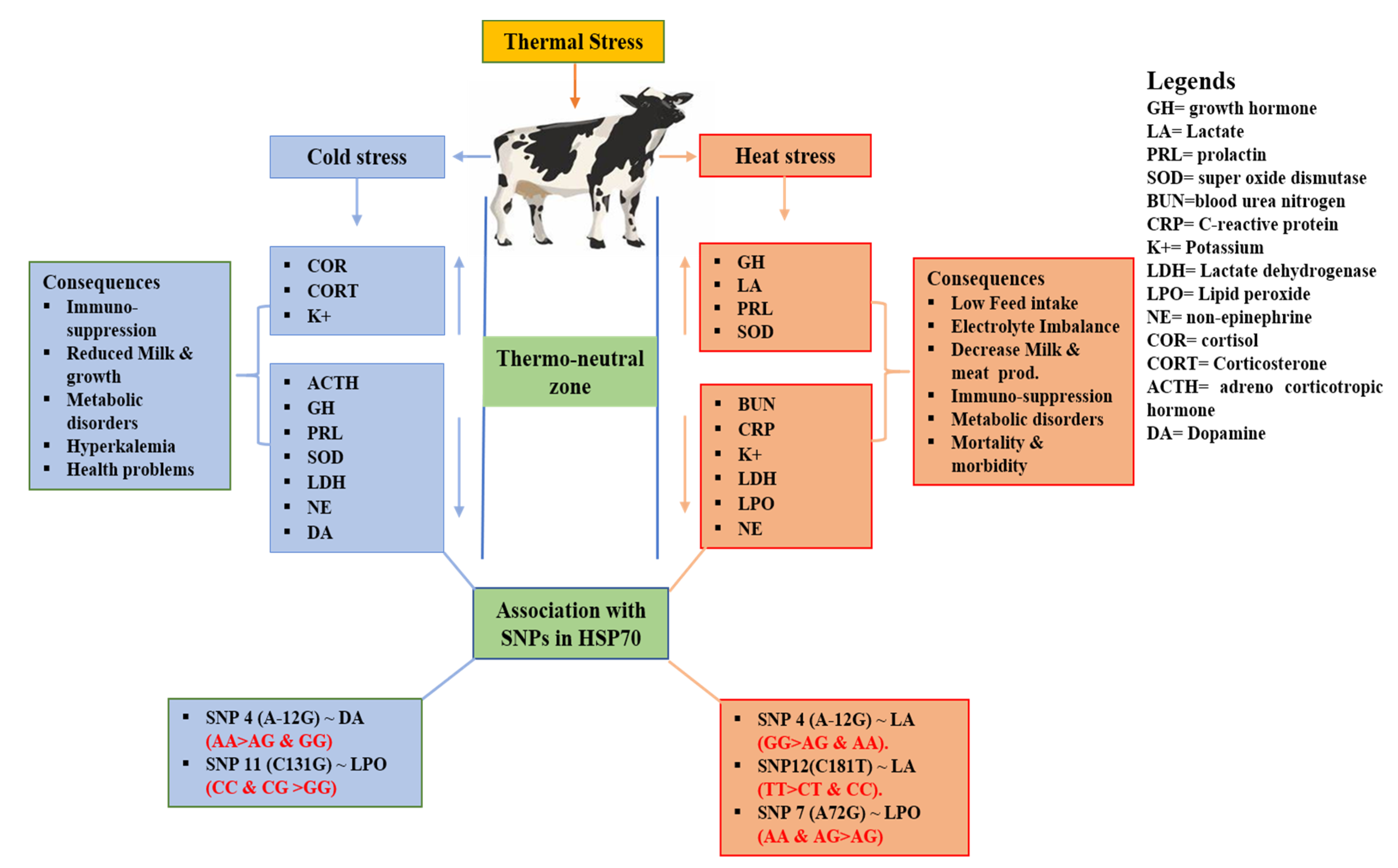 Animals 10 02016 g002