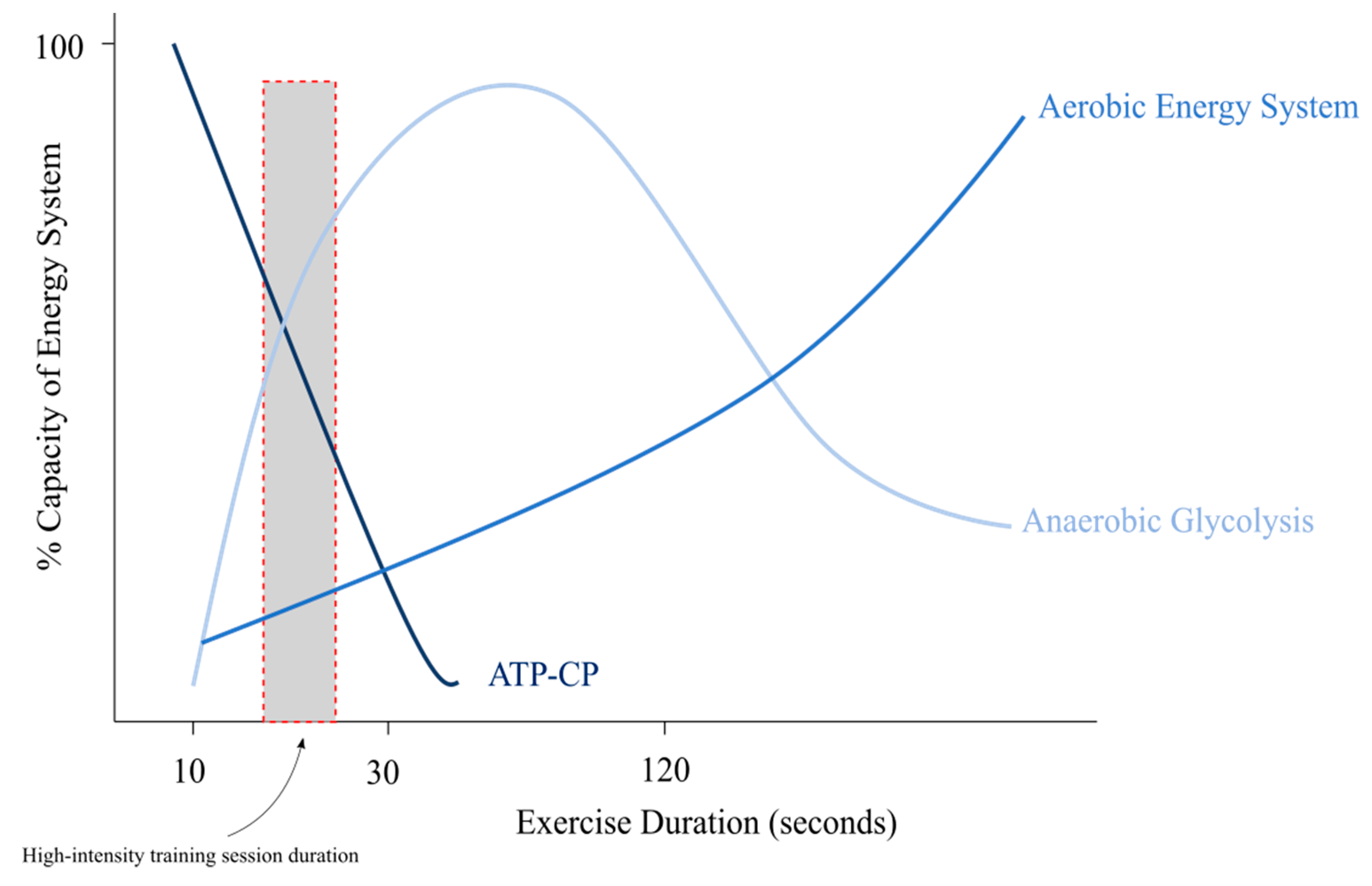 Animals 10 02032 g003